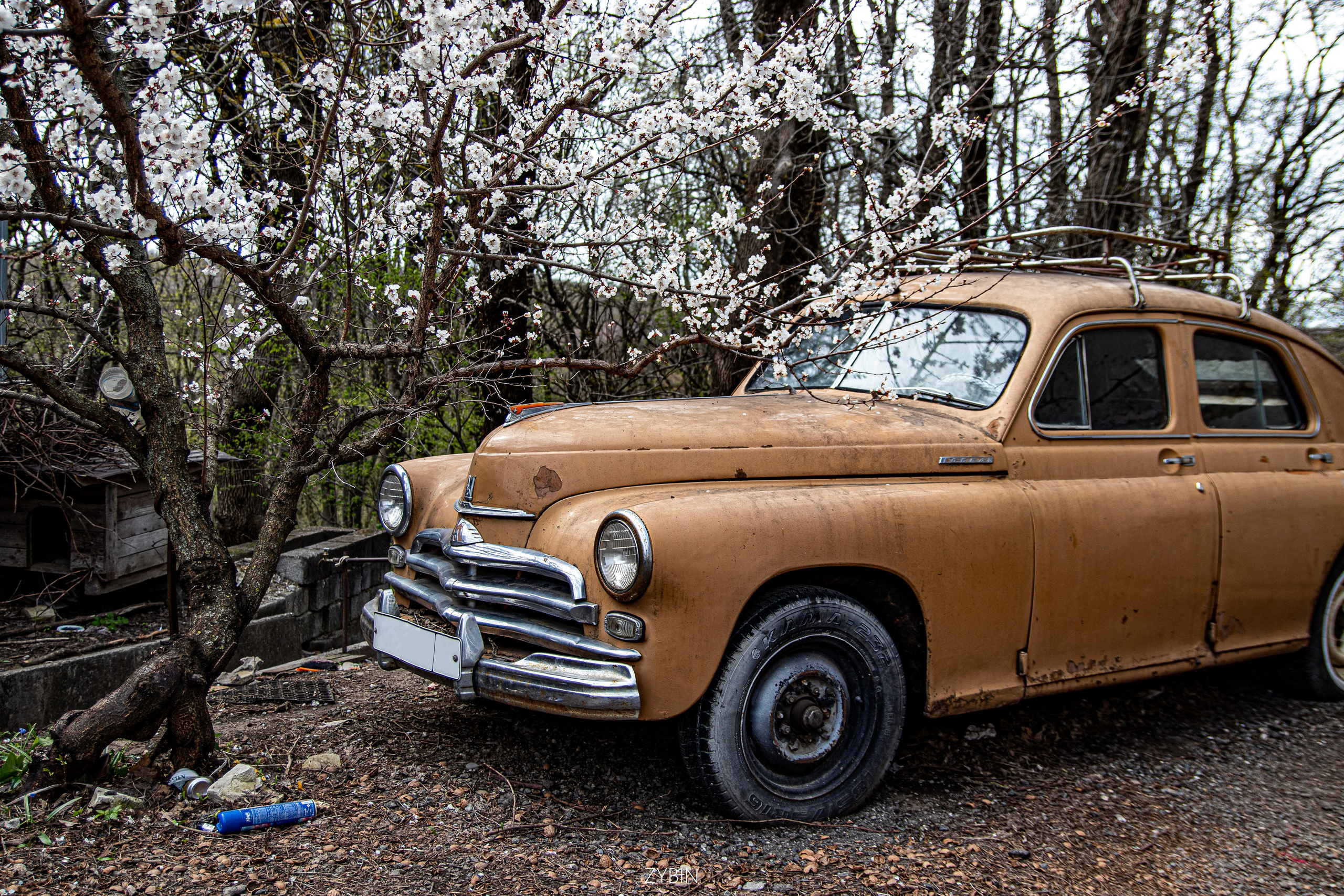 Творчество. Илья Зыбин — репортажный фотограф