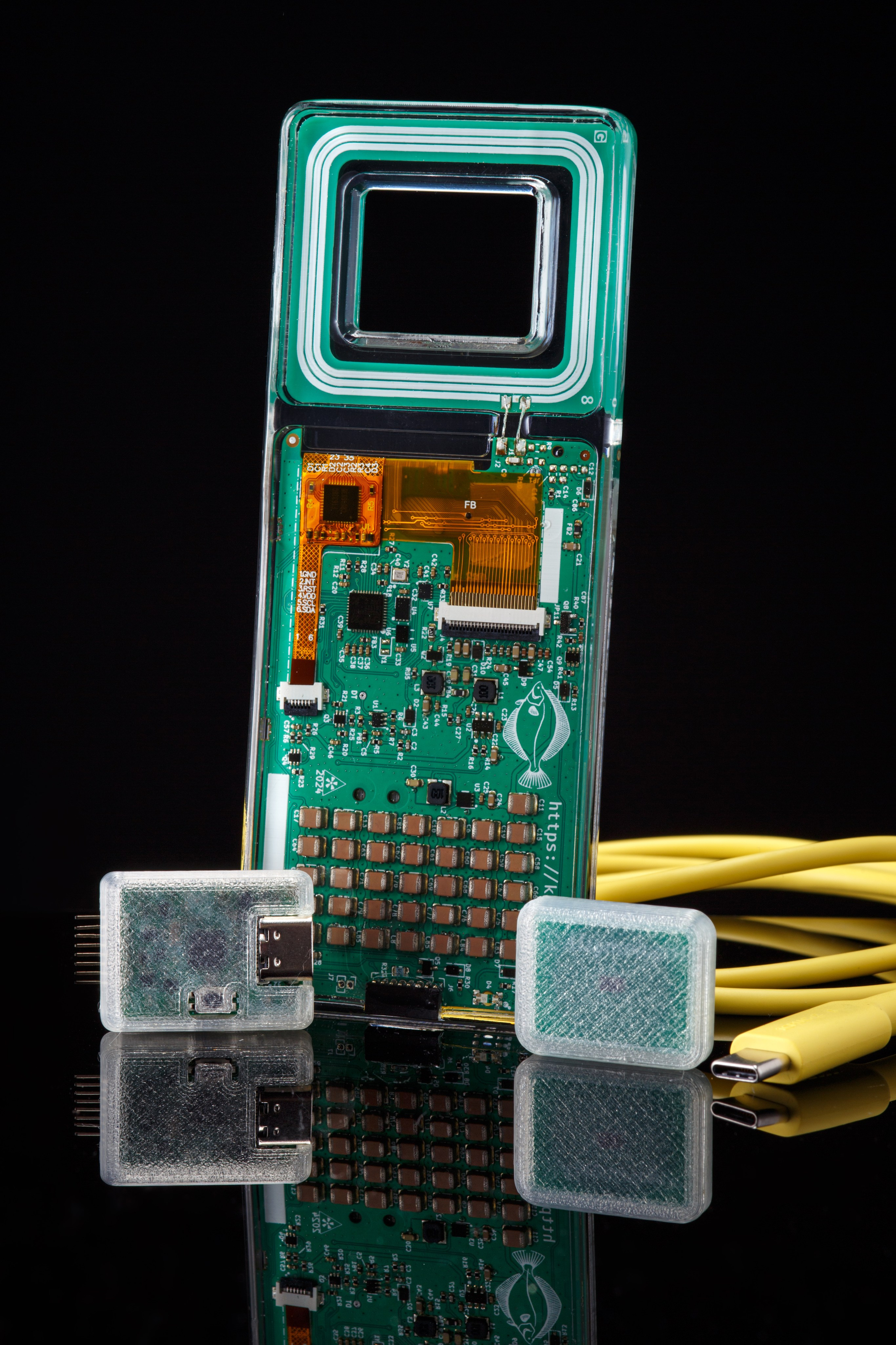 Kampela. Elena Yavorskaya Photography