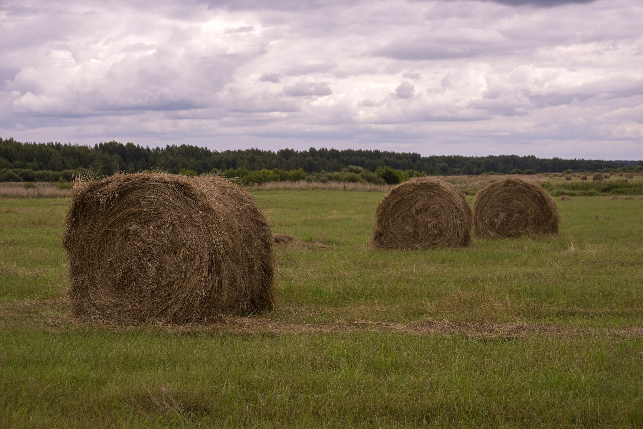 Кидекша. Август 2020. Игорь Жучков. Россия увиденная глазами путешествующего фотографа