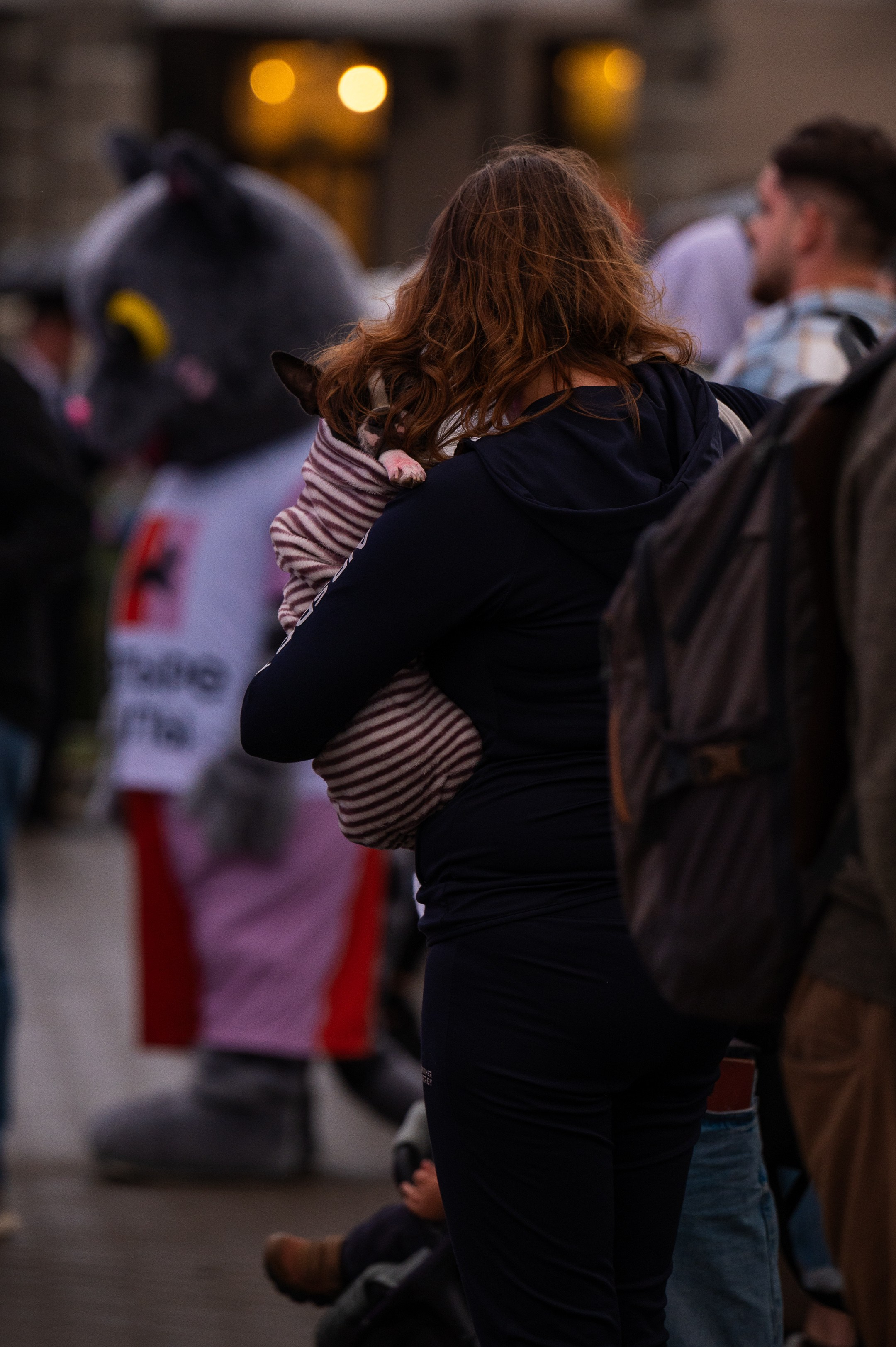 4lapy fest 2025. Photographer in Moscow Anna Chistiakova