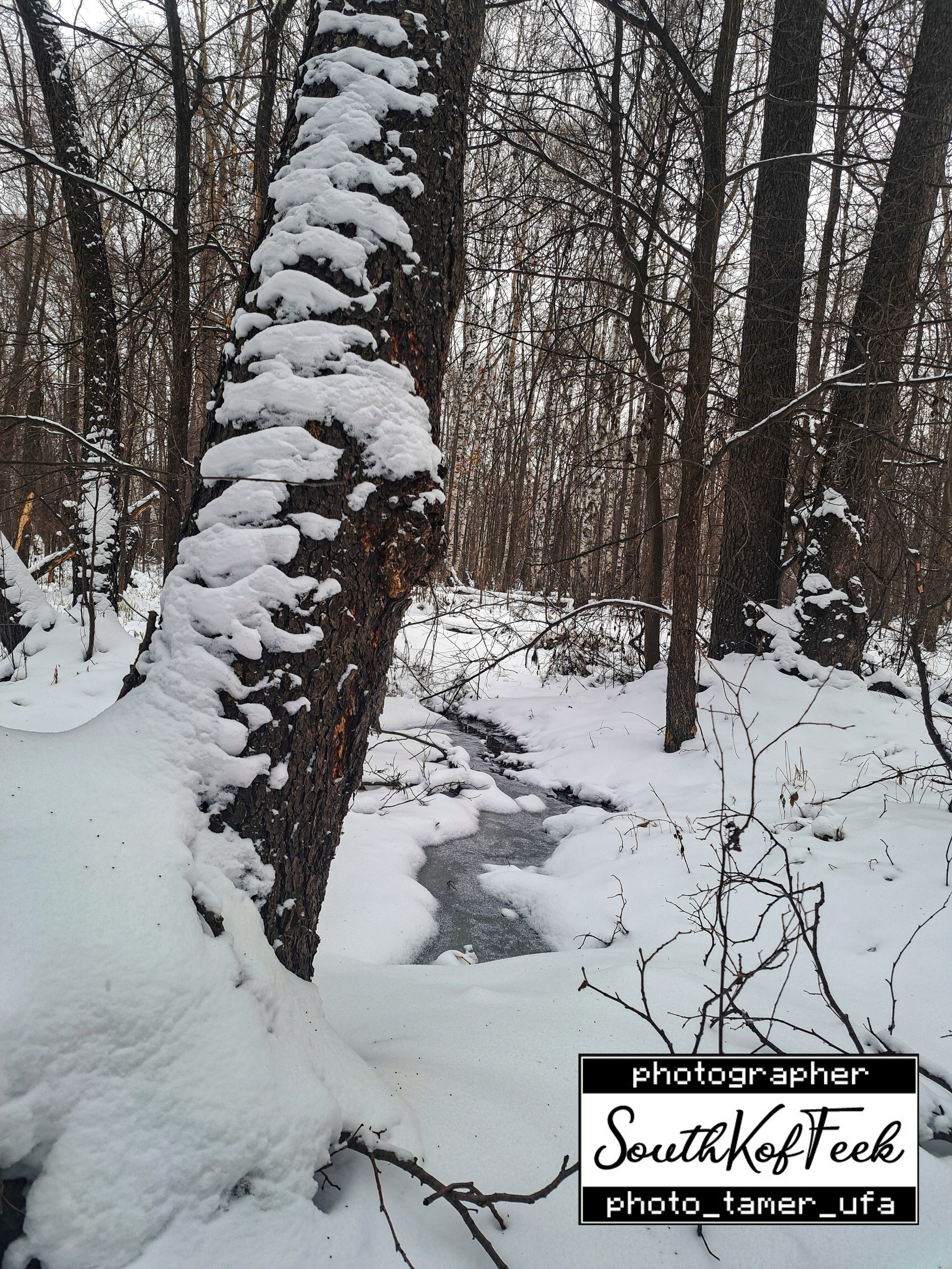 Прочие съемки. Photo Tamer Ufa