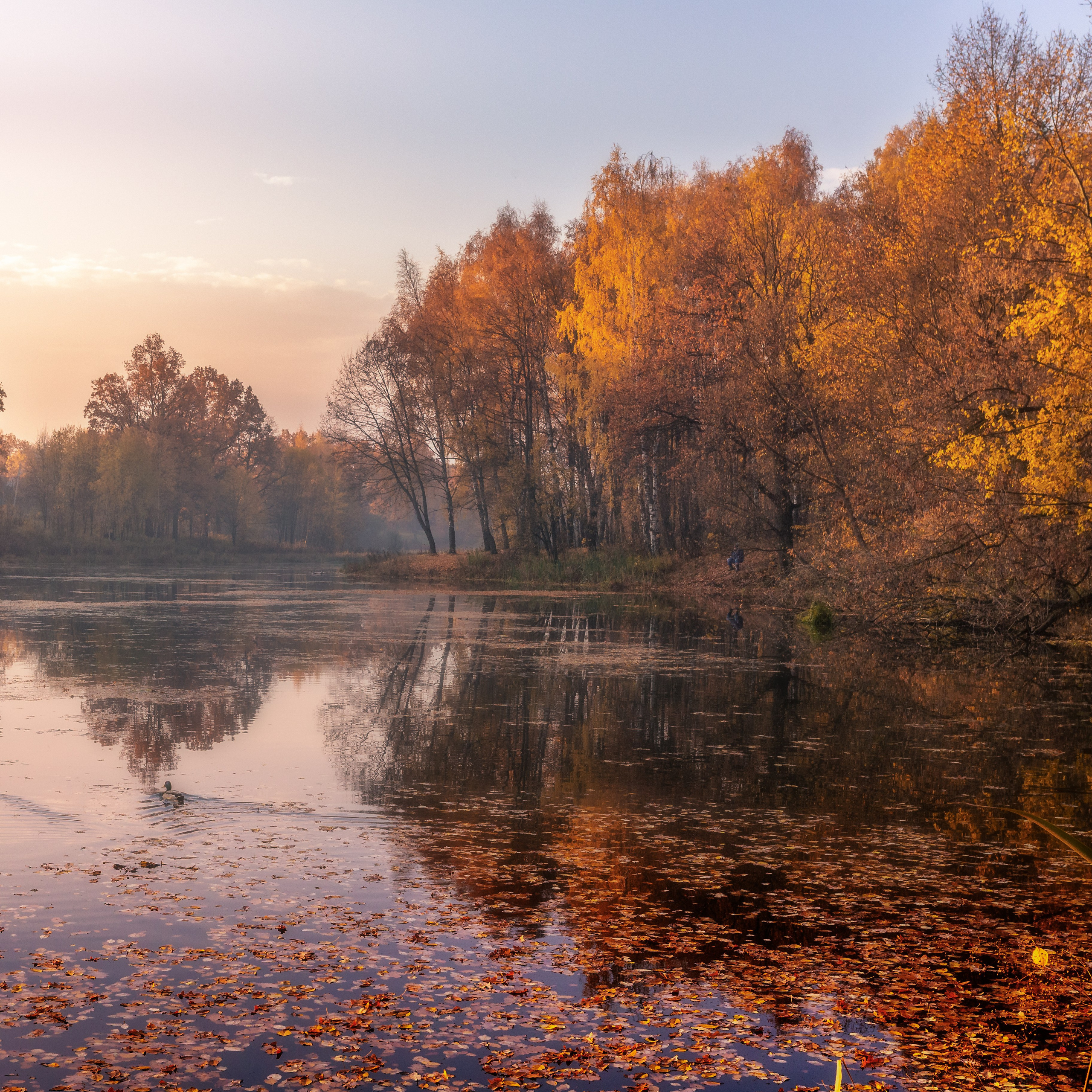 Природа (Осень). Фотограф Мартыненко Дмитрий