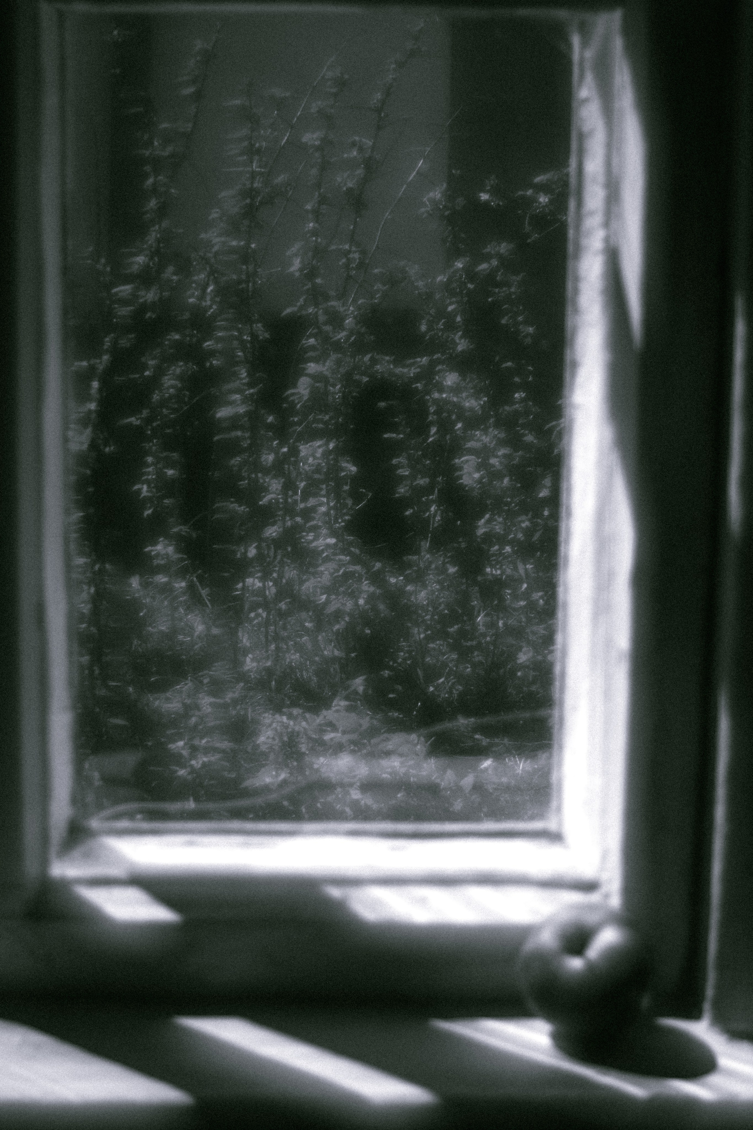 Пикториальный альбом. Семейный LIFESTYLE фотограф в Москве