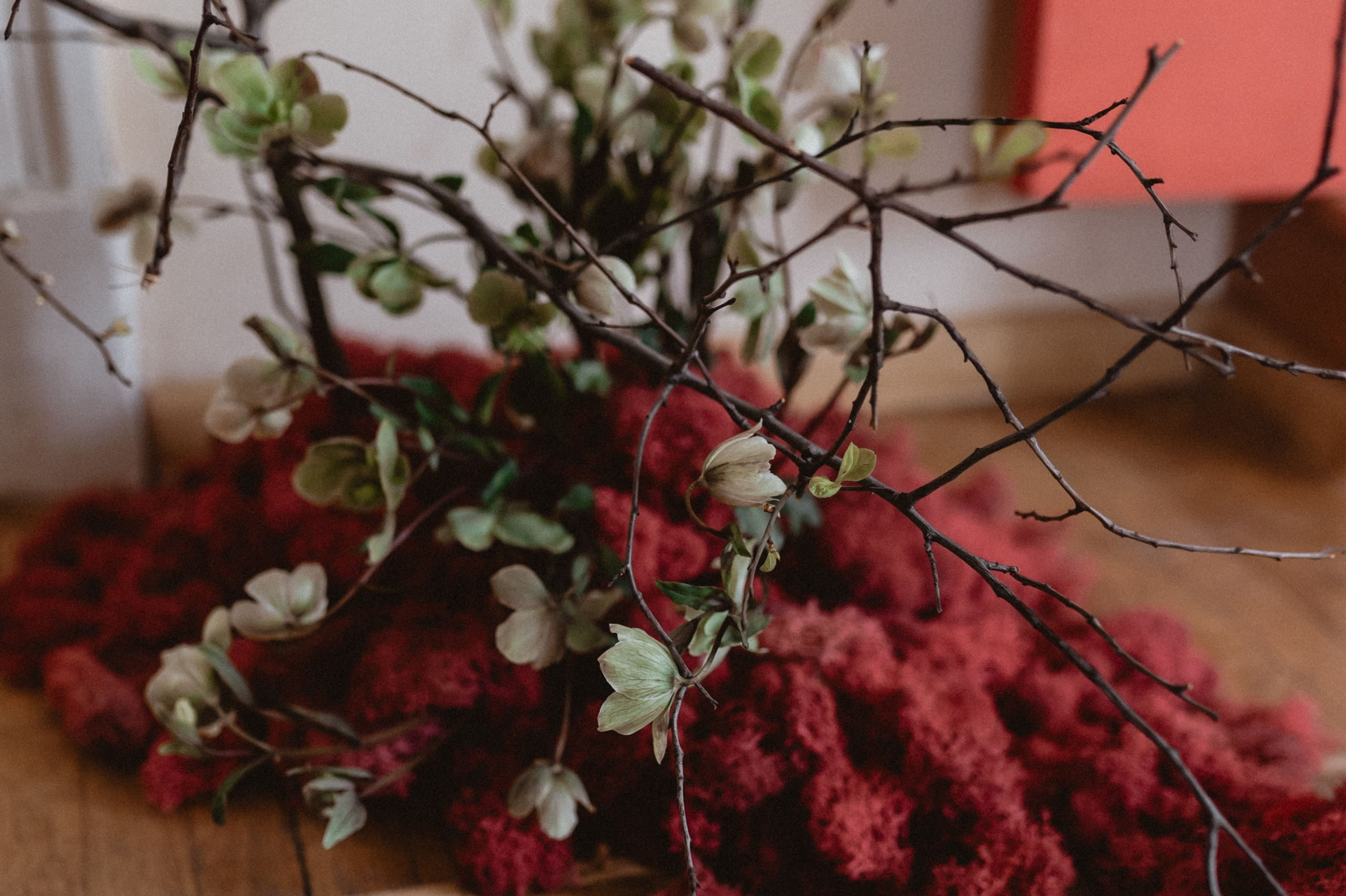 Эрнест & Аня. Оформление свадеб, декор свадеб Вера Маркова, Москва