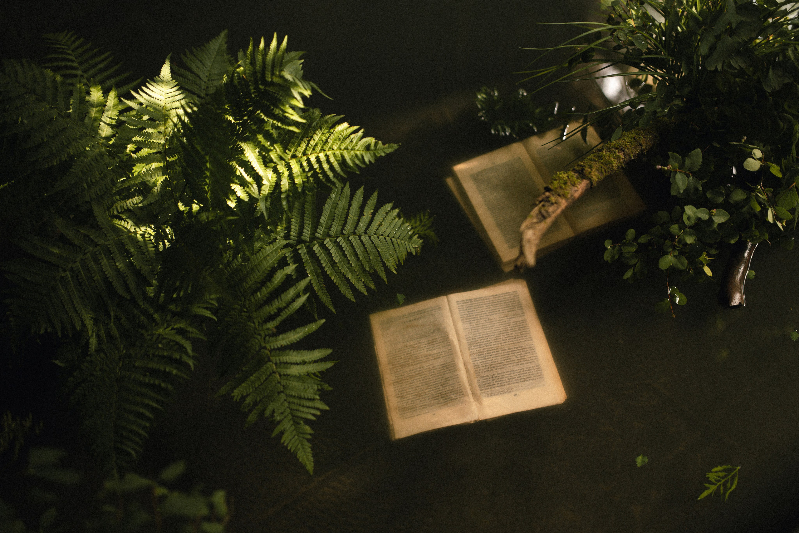 The flooded house. Фотограф в Москве Hellga Raf Хельга Раф