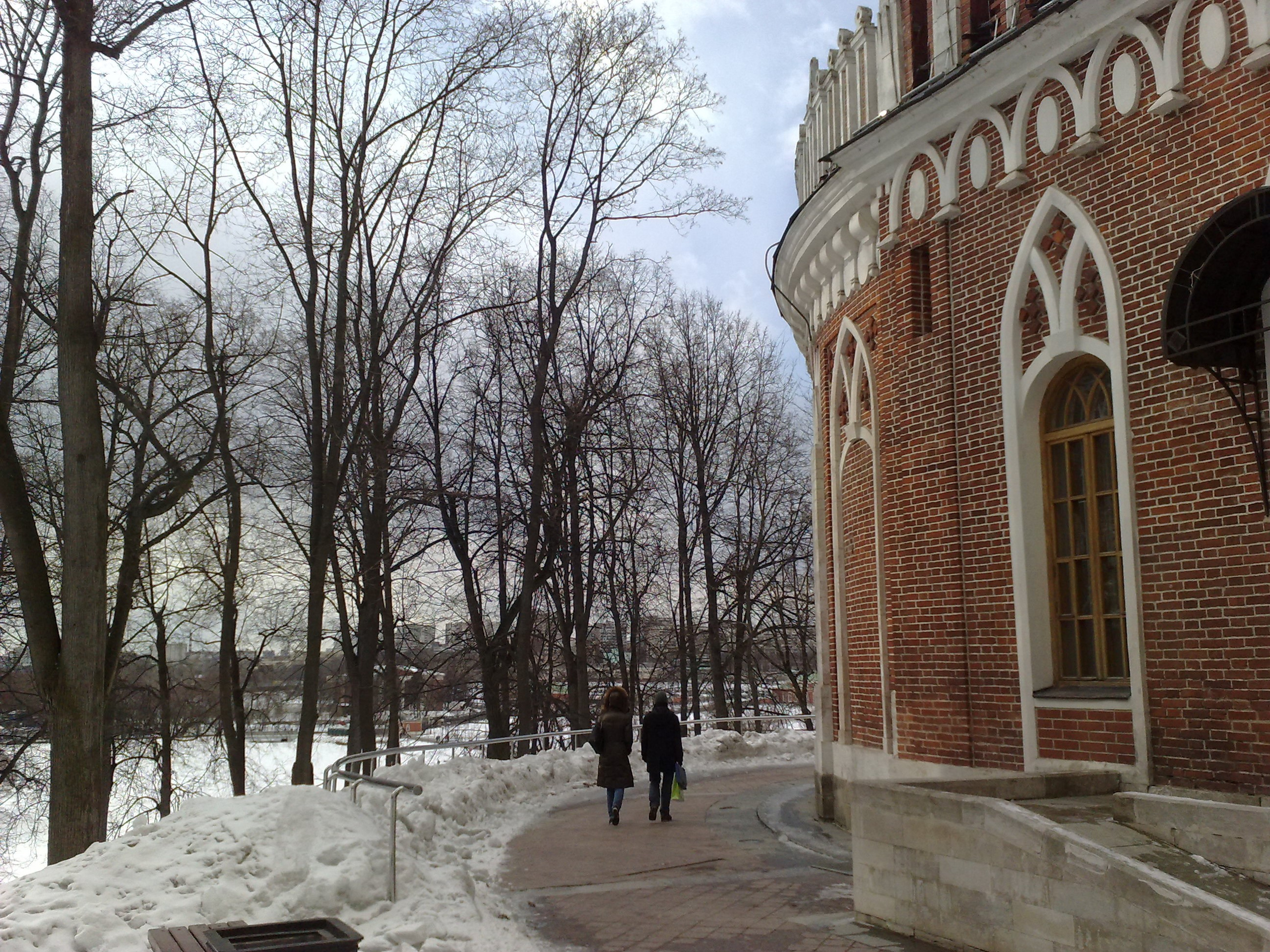 Царицино музей-усадьба. Питомник китайских хохлатых собак Poale Ell: купить щенка в питомнике