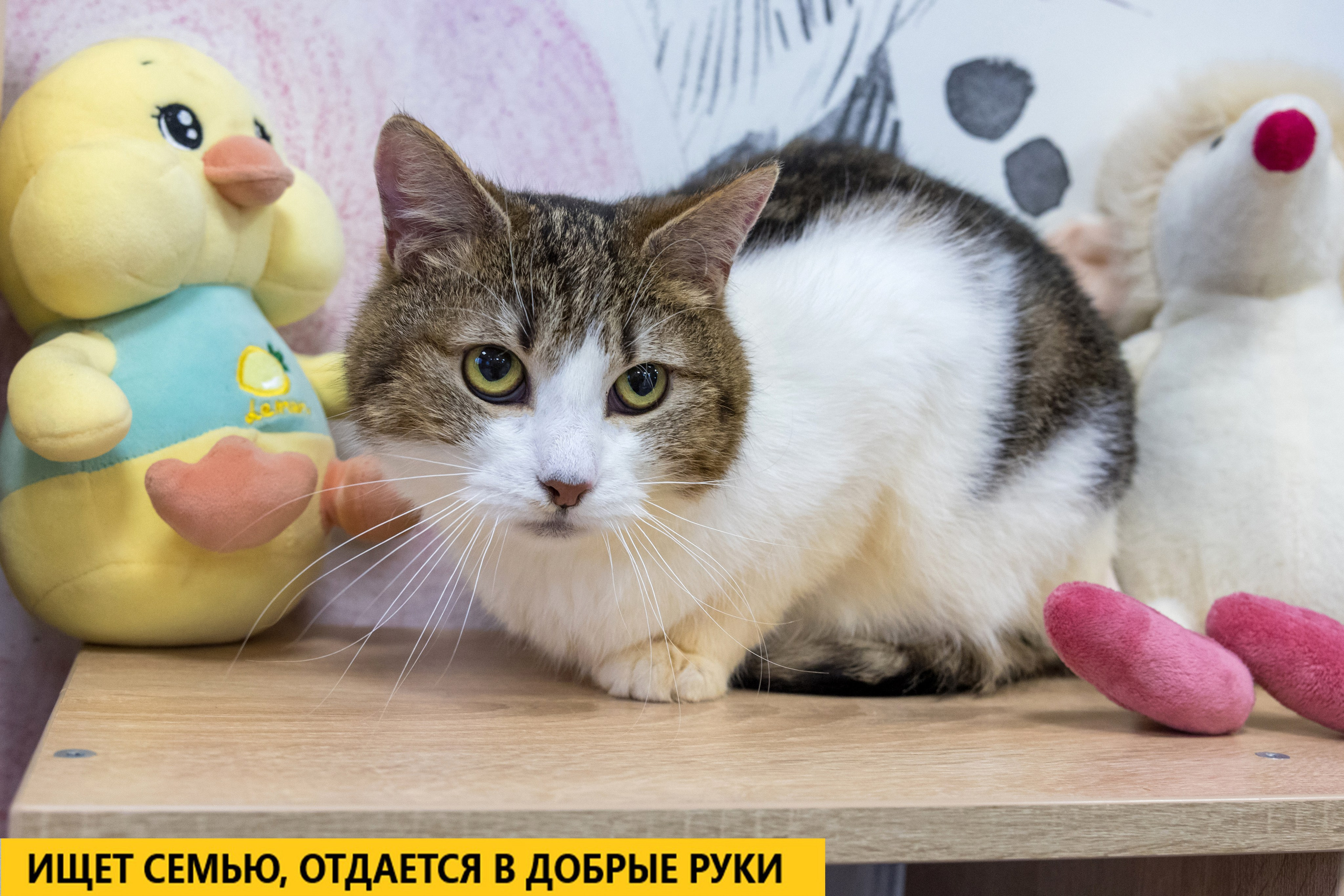 Рекламная съемка в Москве. Геннадий Степанов —фотограф в Москве
