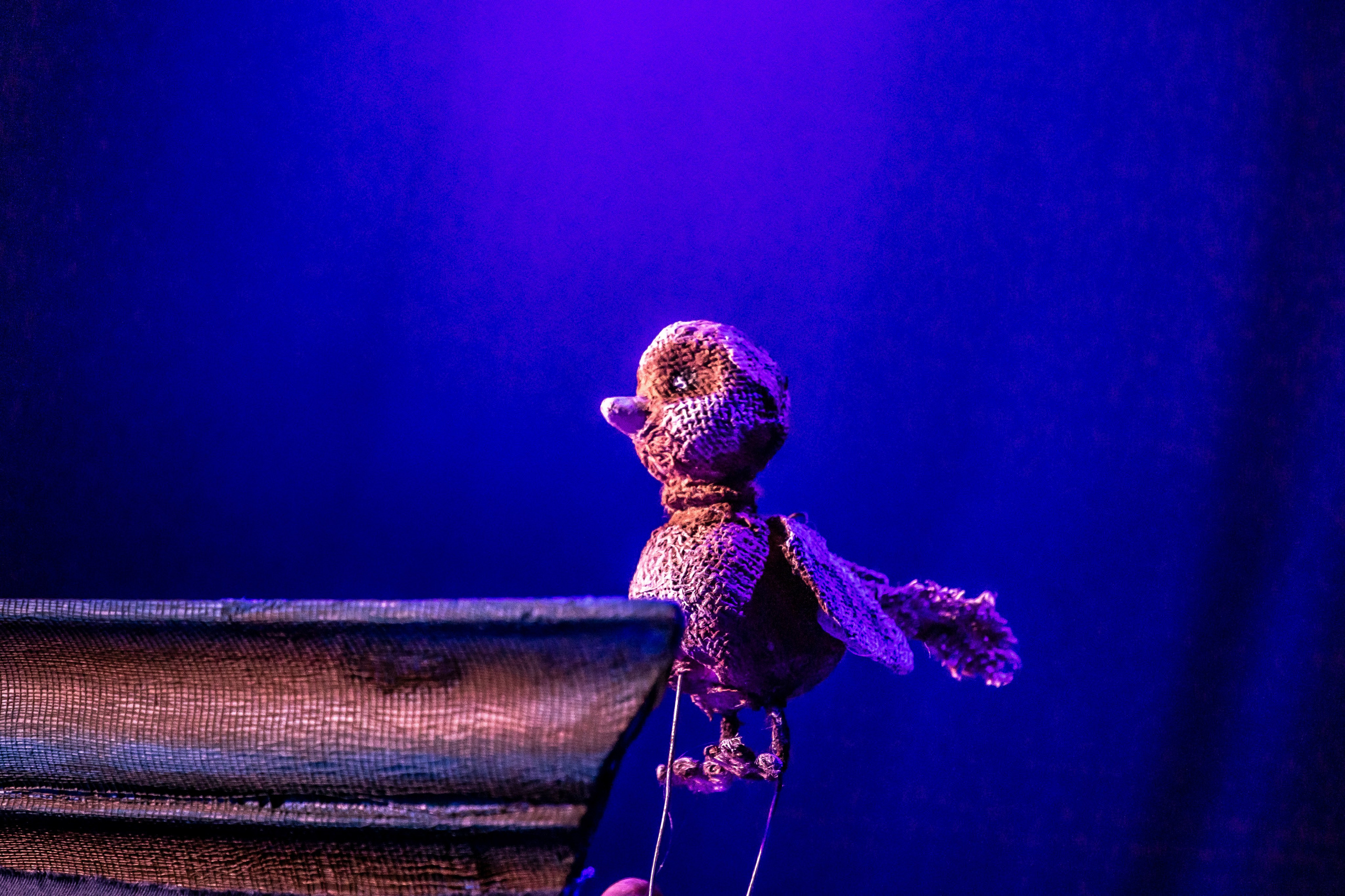 Тараканище спектакль кукольного театра Саквояж — премьера. Фотограф в Сочи Юрий Шептаев