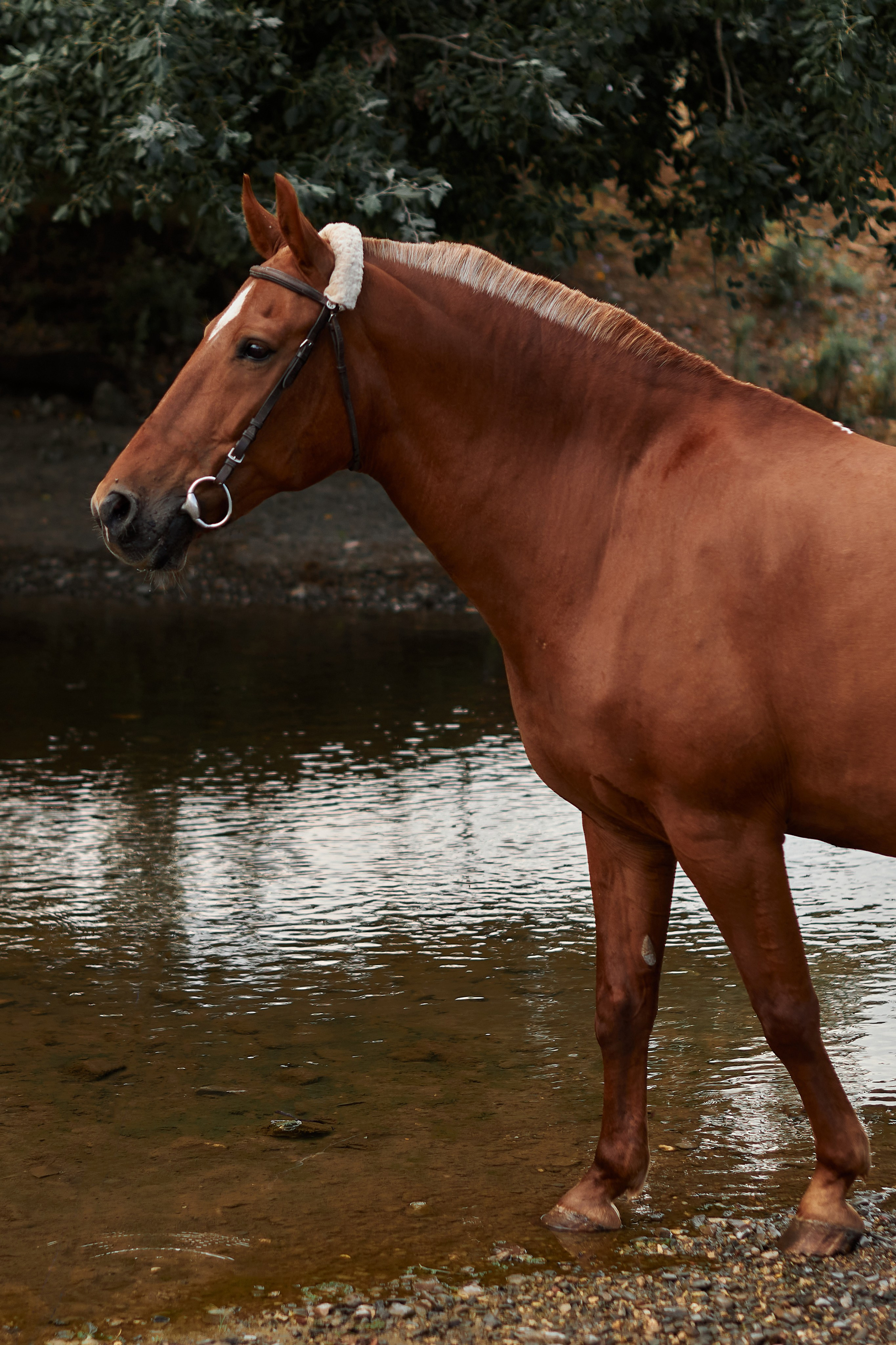 Касандра. Фотограф в Севастополе
