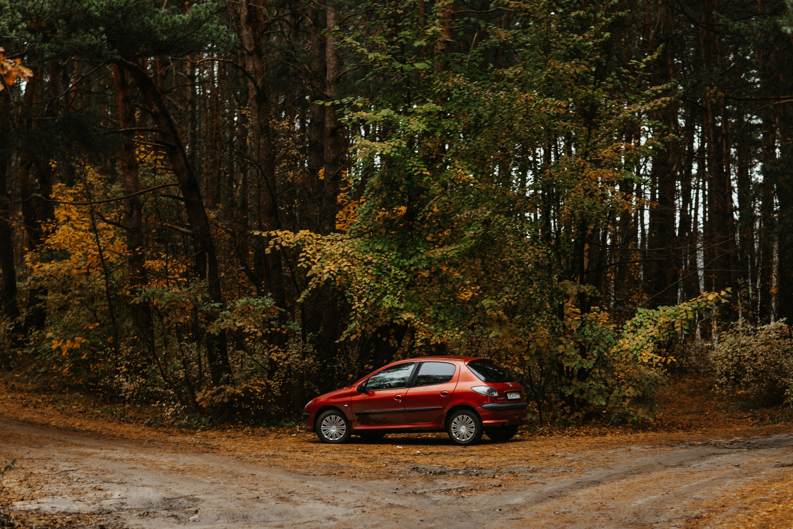 Фотосессия в Балтийске. Https://malovafoto.ru