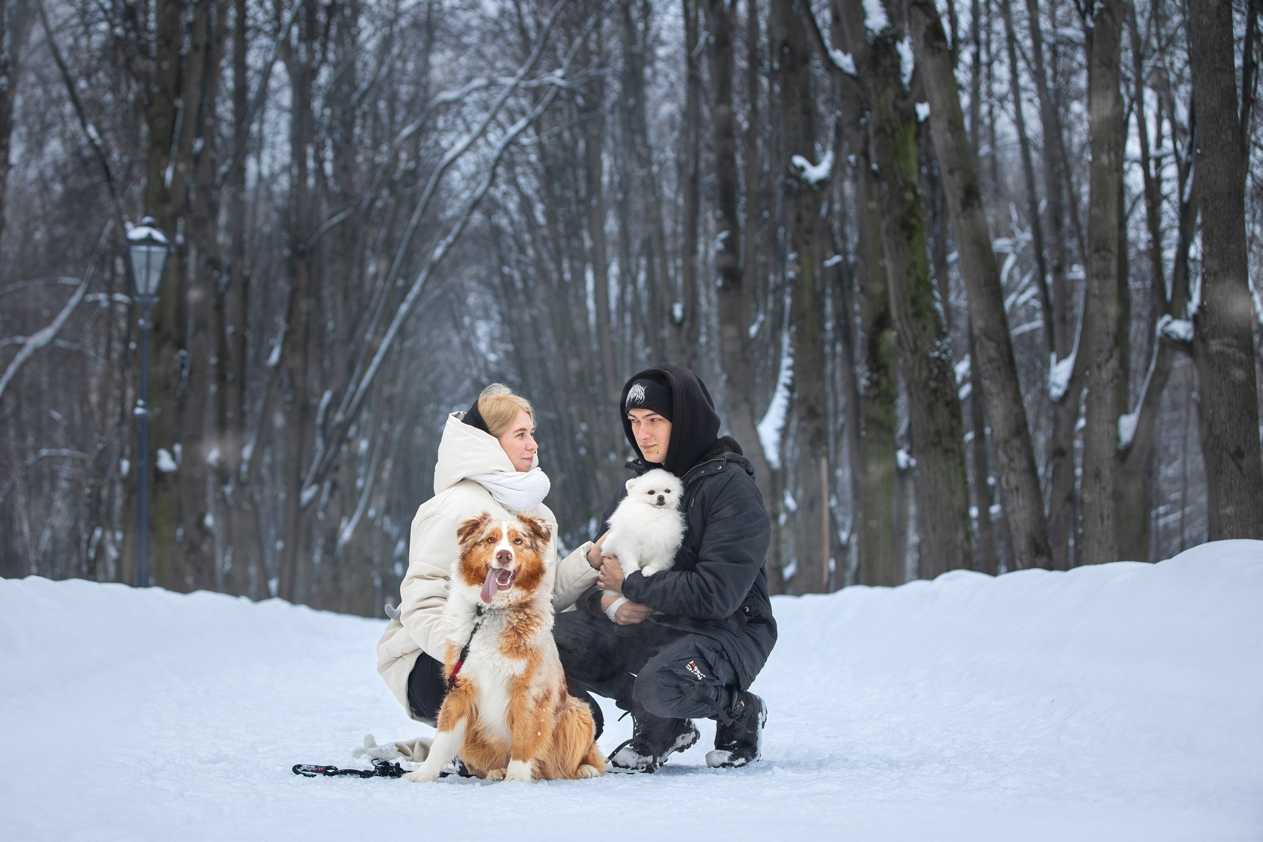 Настя, Игорь, Тесс и Марс. Фотограф анималист в Москве Майорова Евгения