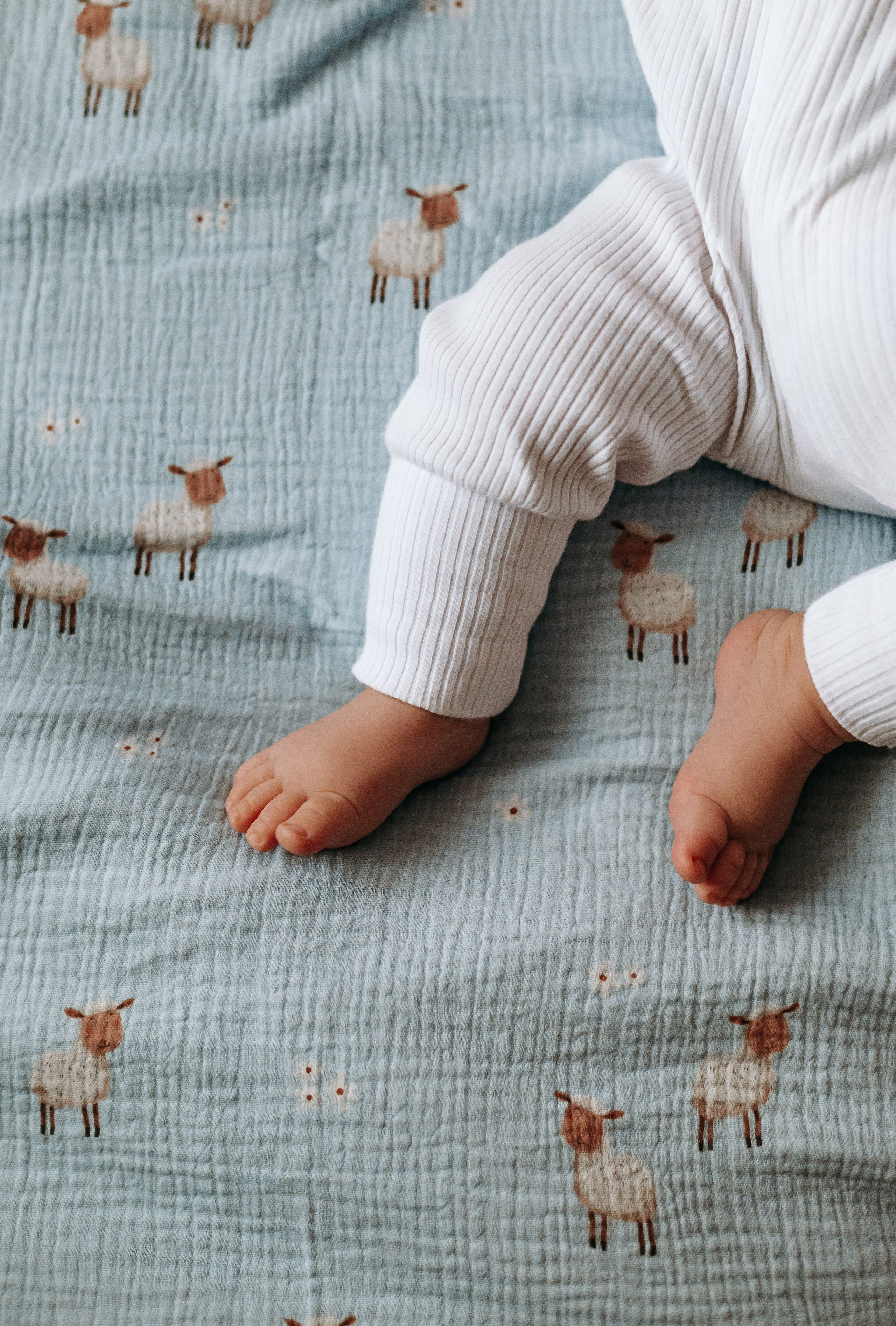 Morning. Свадебный фотограф в Минске Вадим Бурчик