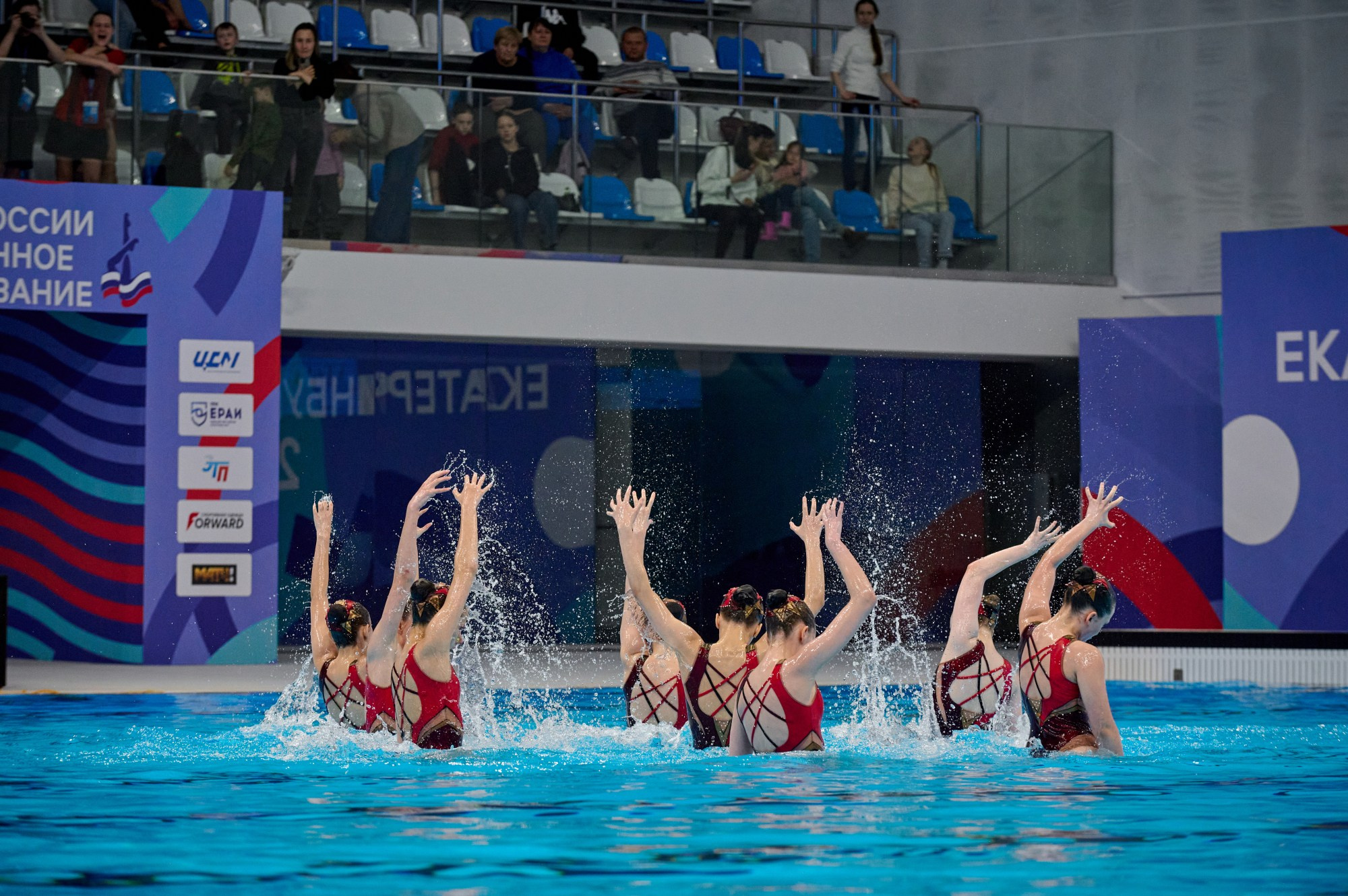 Чемпионат России Синхронное плавание 2024. Мезенцев Евгений фотограф