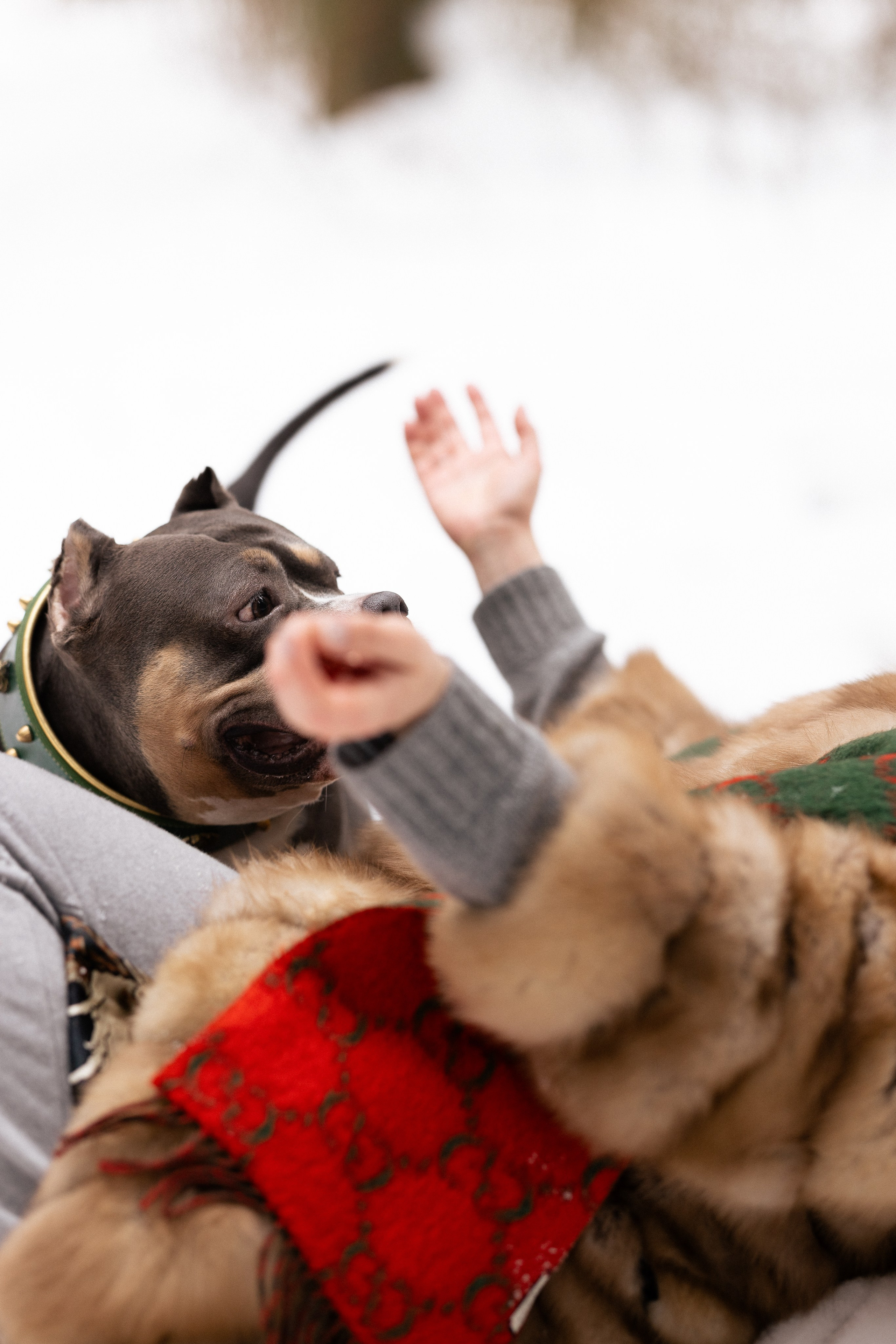 Лера и Наган. Фотограф и видеограф анималист Аганина Дарья