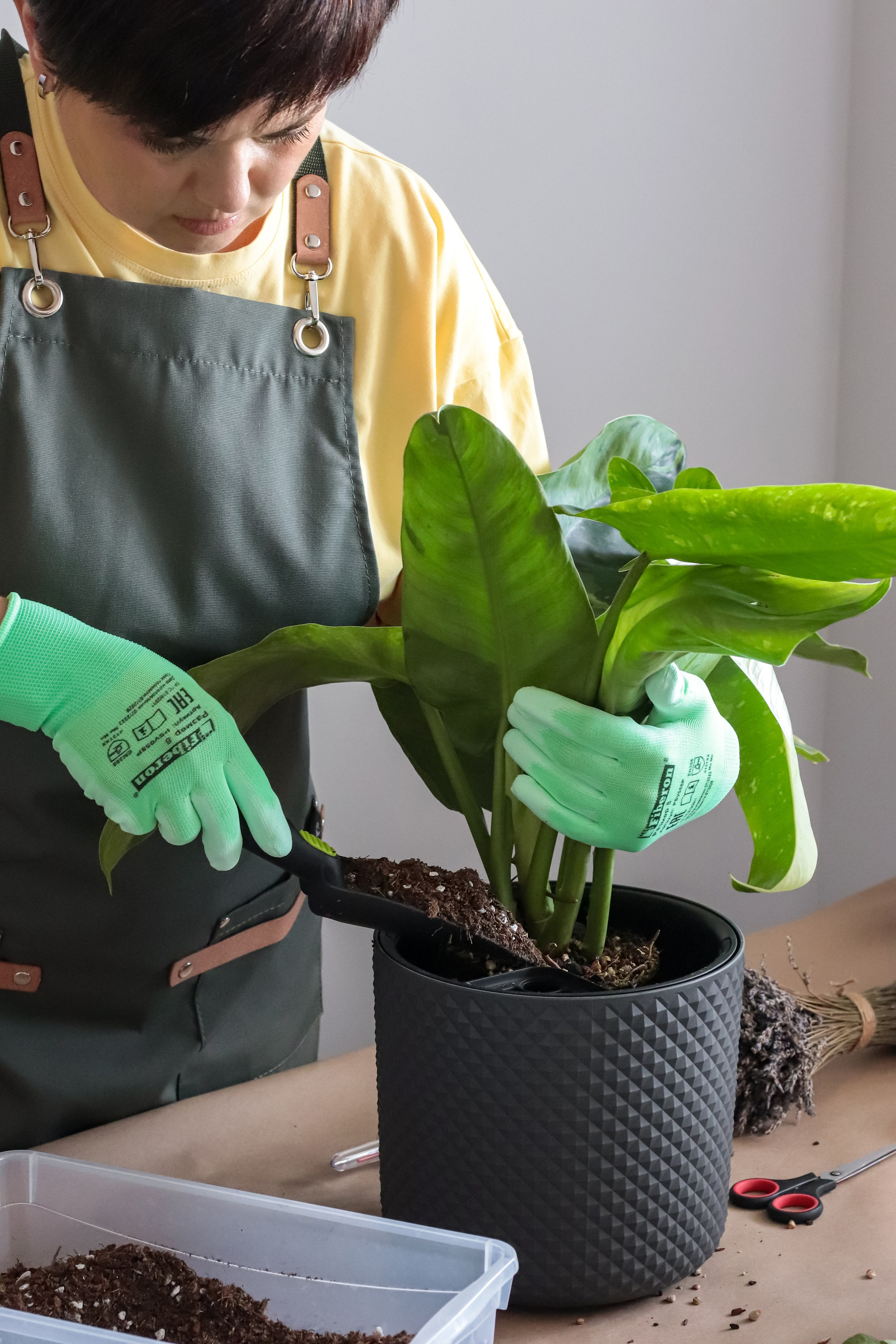 Контент съёмка для фитодизайнера. Фотограф Химки Анна Татарских