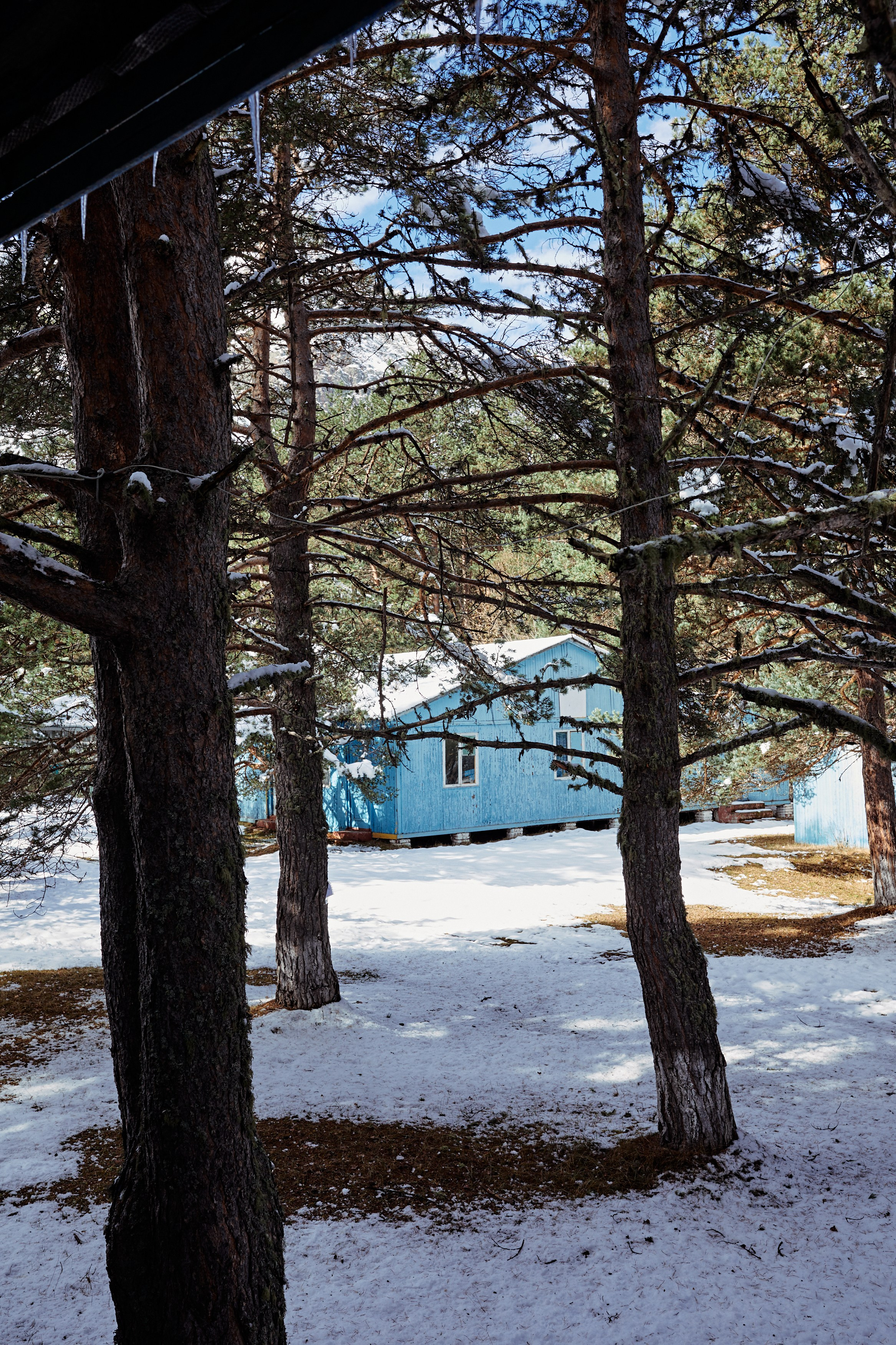 Башиль. Фотограф Продюсер в горах КБР / Москва  Нальчик Горы