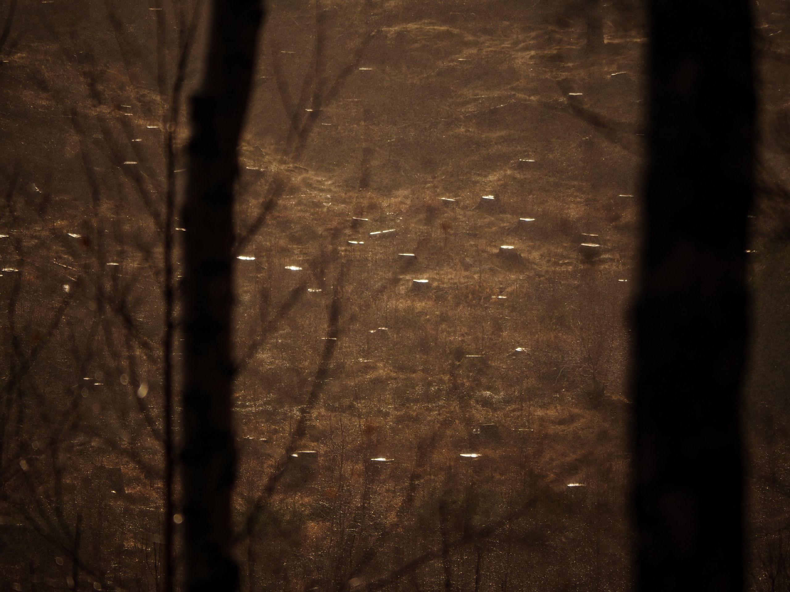 Харц. Германия. Репортажный фотограф в Берлине Александра Герман