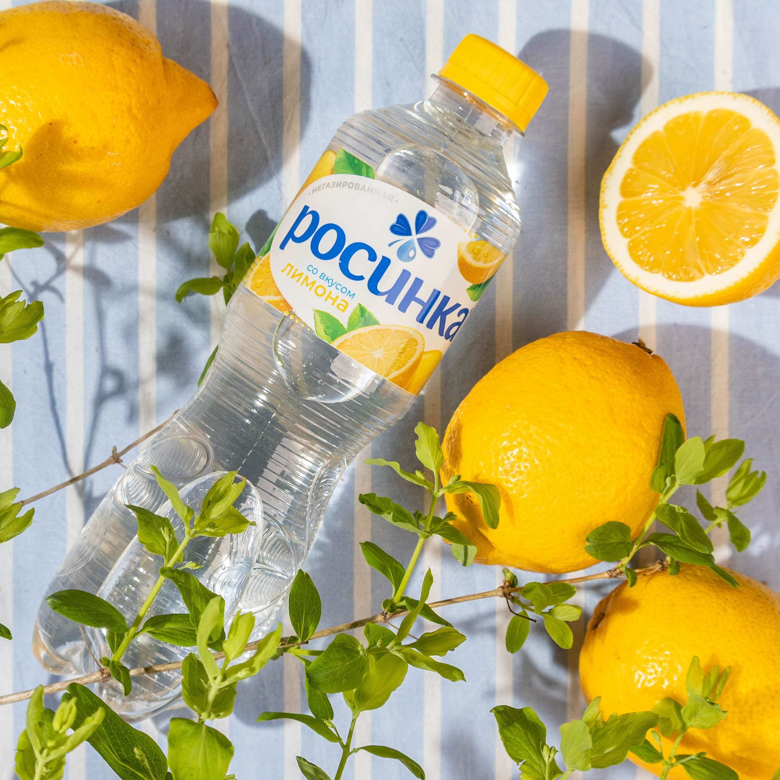 Росинка. Елена Кащеева, фуд и предметный фотограф, Воронеж