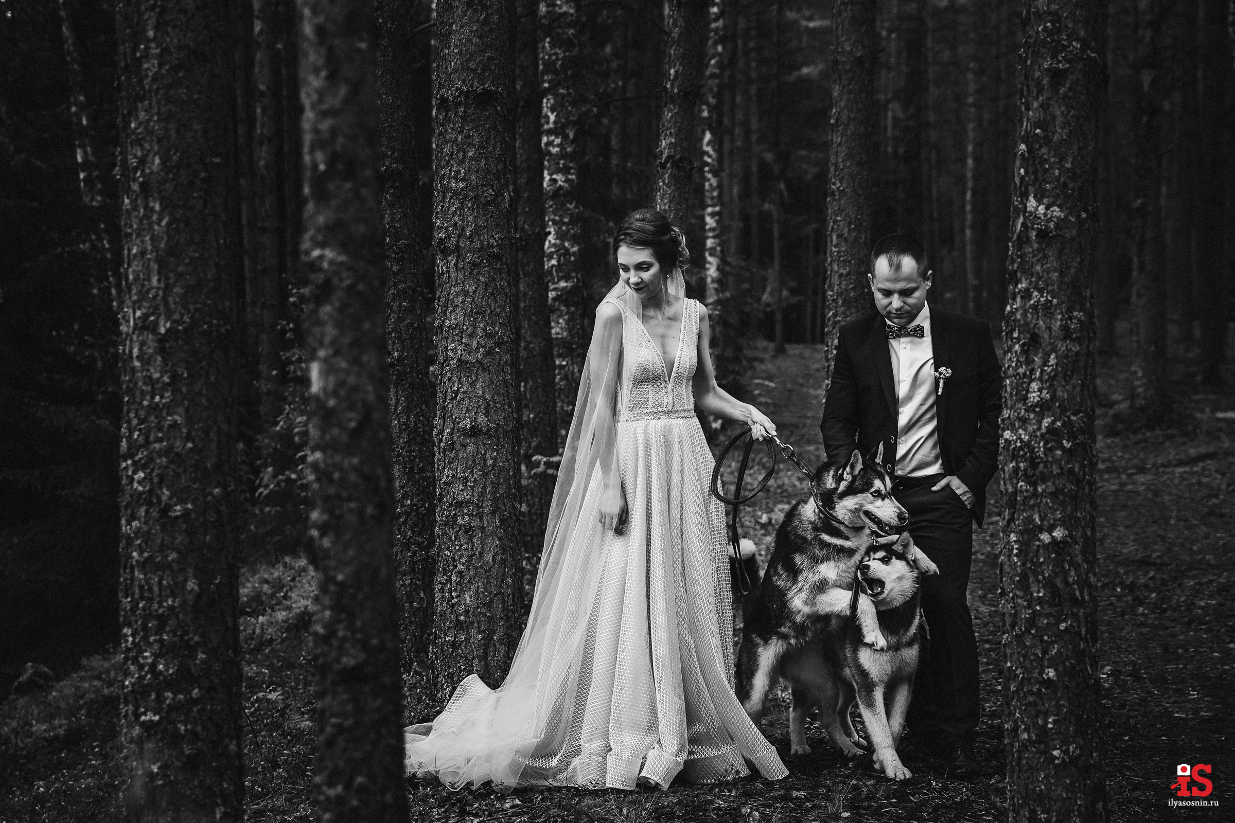 Профессиональный фотограф Петрозаводск Илья Соснин