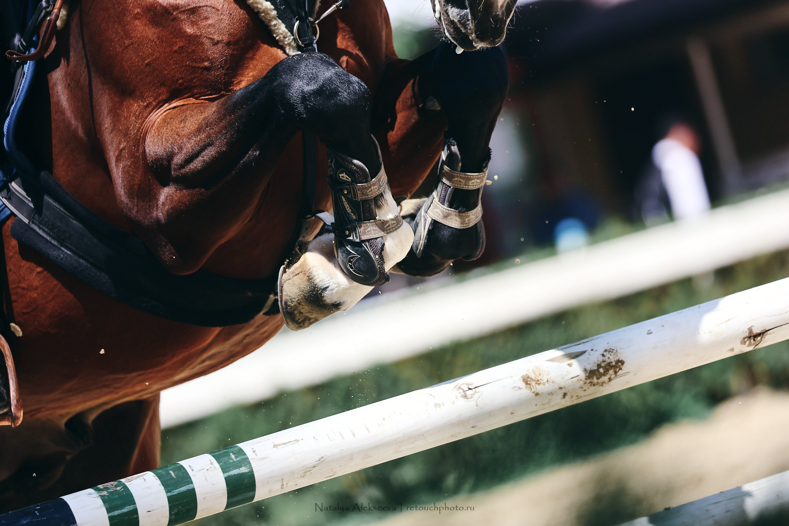 FEI World Cup, Ташкент | 04'2023. Репортажный фотограф и ретушер в Москве Наталья Алексеева