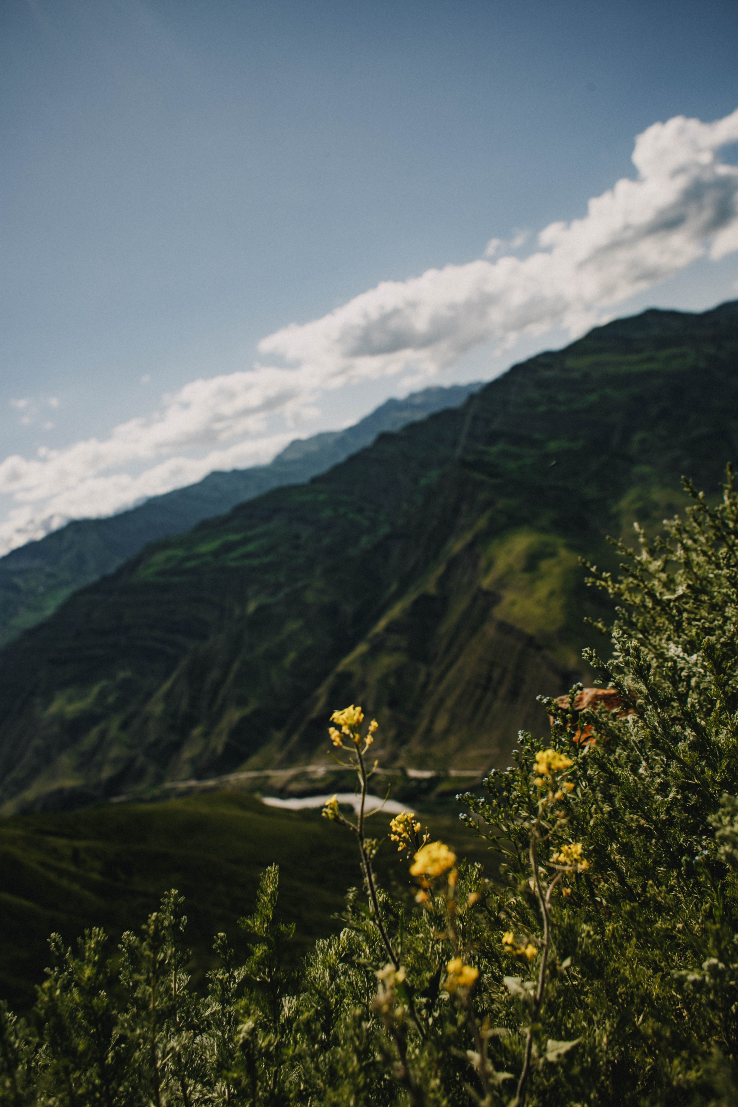 Дагестан. Чечня. 2024. Фотограф в Нижнем Новгороде