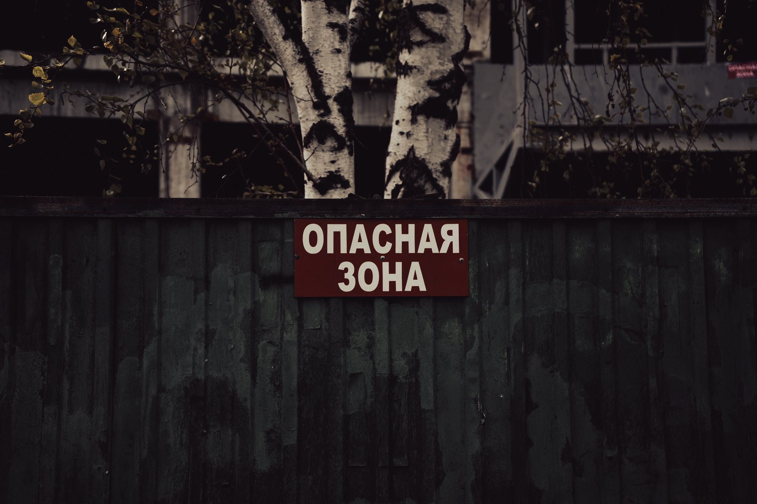 Стрит — фотография в Санкт-Петербурге. Портретный фотограф в Санкт-Петербурге Дори Милиева