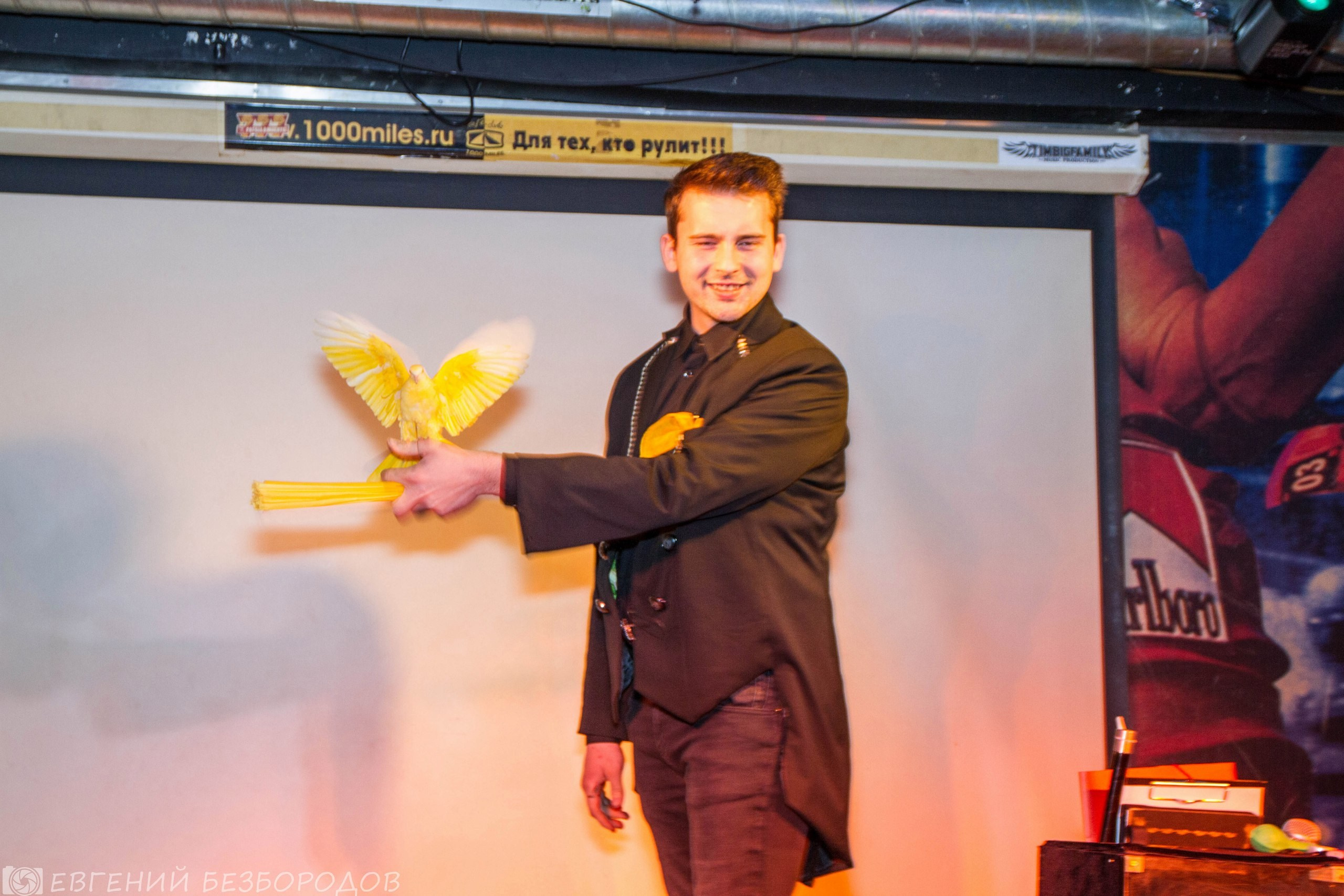 Спасибная вечеринка| 03.12.2016. Галерея Фантим