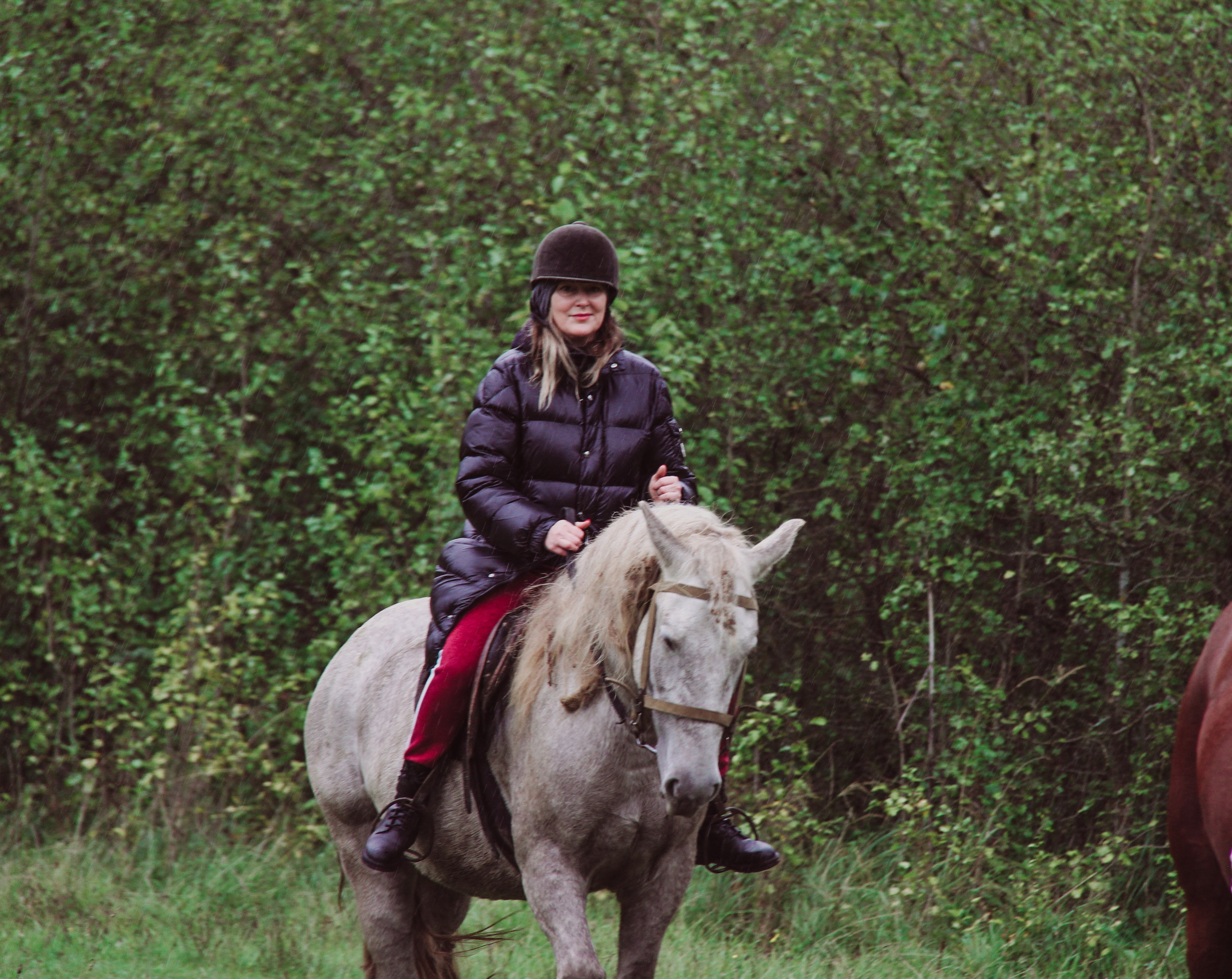 Лошадинг | 27.09.2025. Галерея Фантим