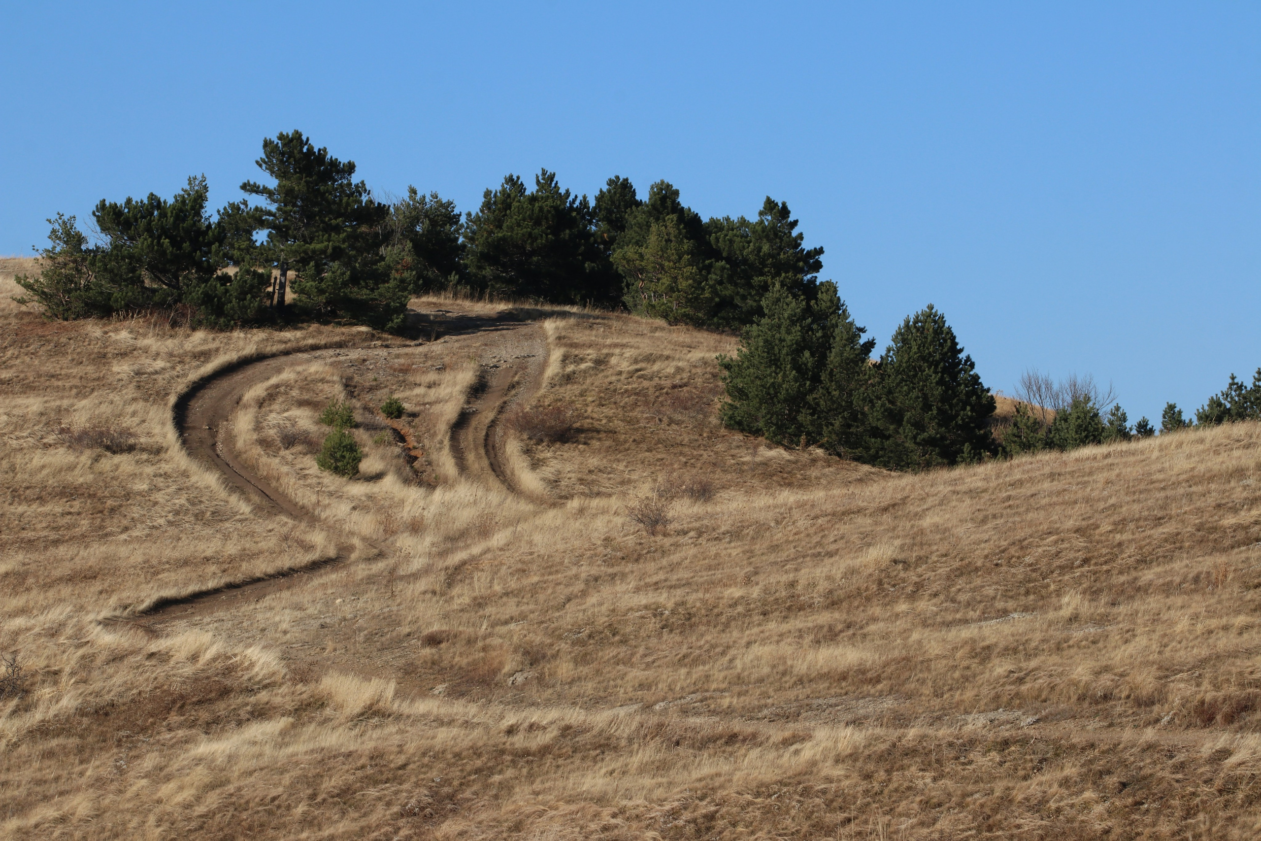 Крым. ЮБК (Гурзуф, Судак и их окрестности). Ноябрь 2023. Путешественник-фотограф из Санкт-Петербурга Татьяна Свистулина