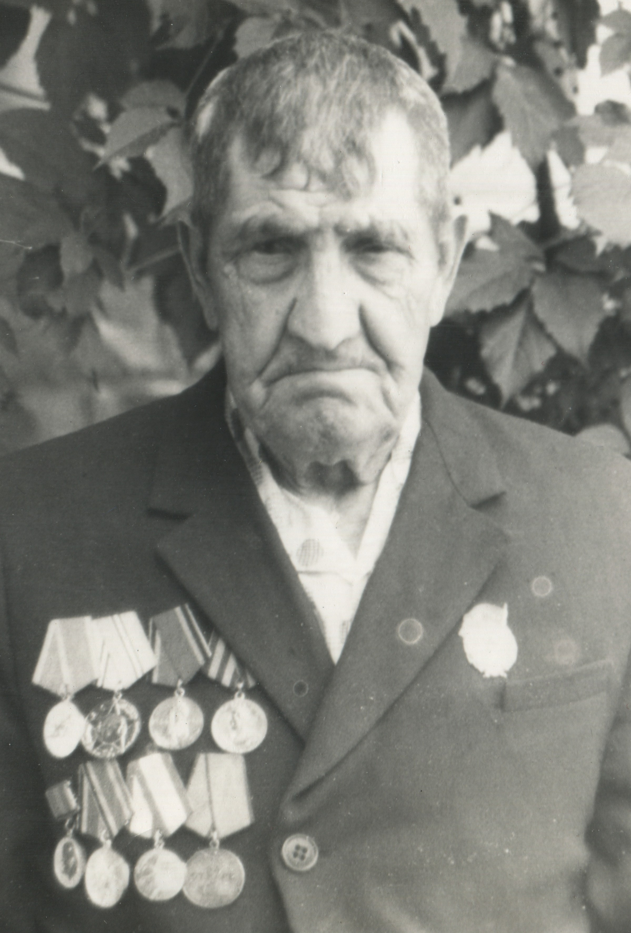 Портфолио. Семейный альбом