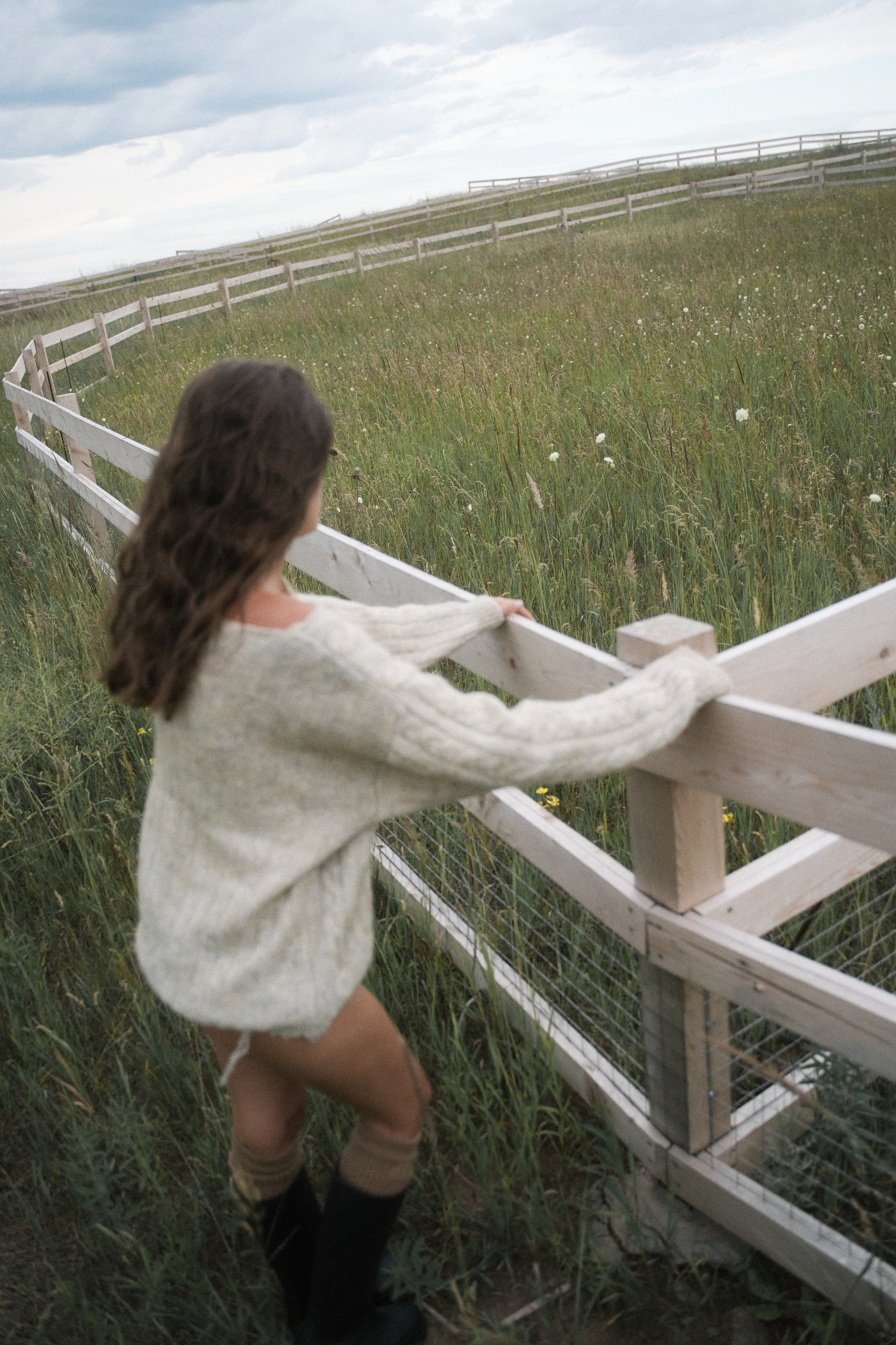 Field Lili. Главная