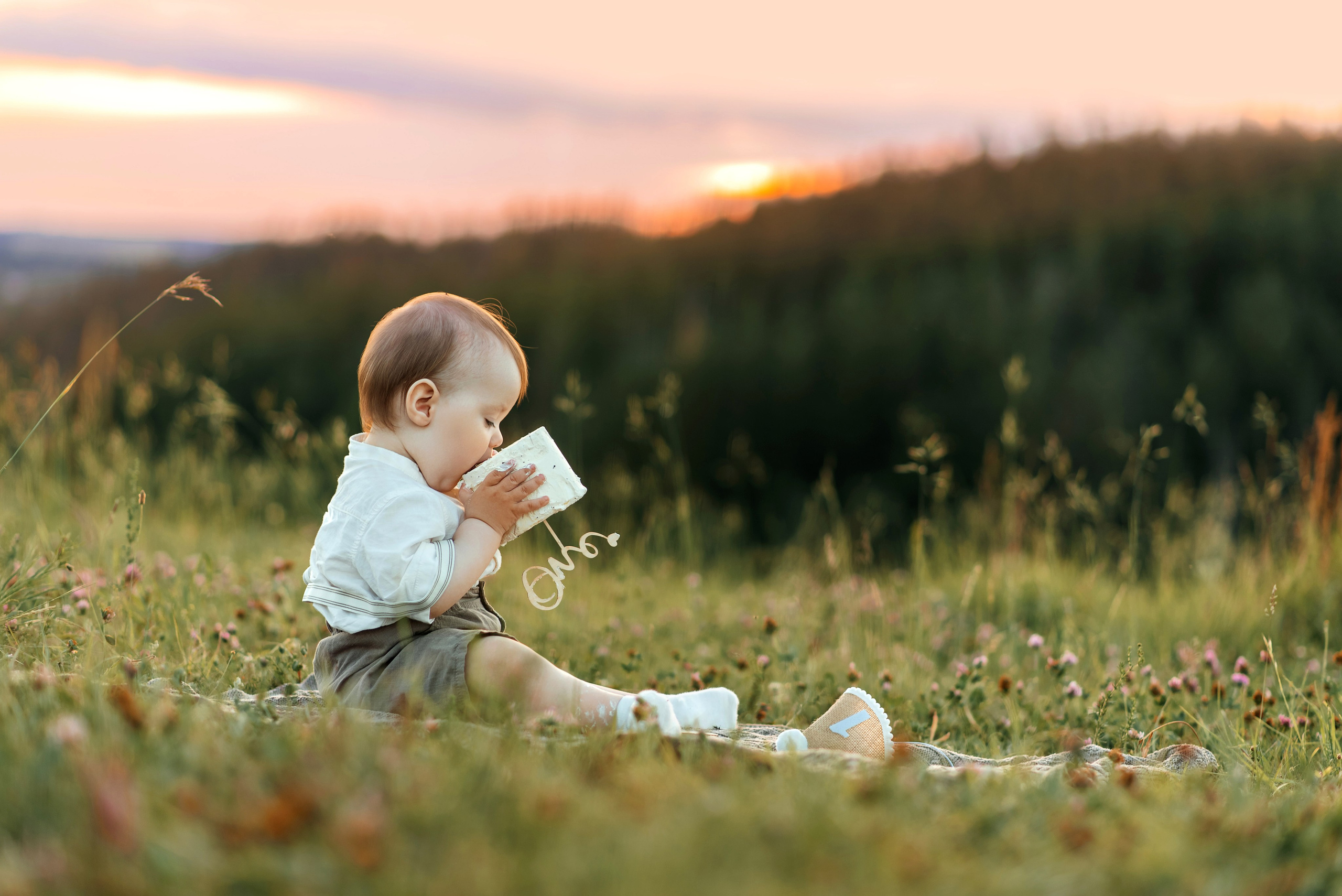 Годовасие Тимура. Семейный фотограф в Тамбове Анна Кондрашова