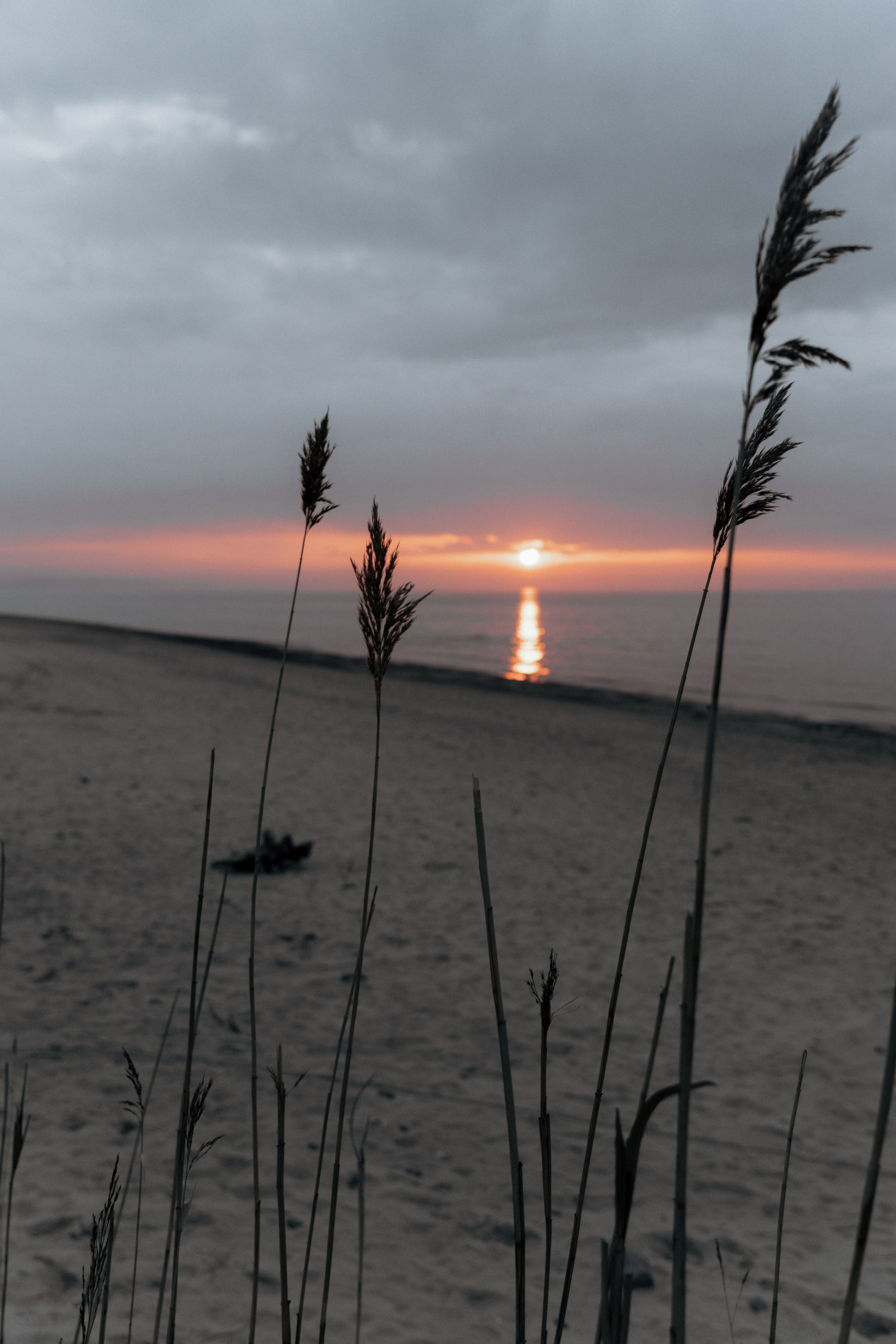 Свадебный фотограф Тамбов. Свадебный фотограф в Тамбове Павел Четвертков