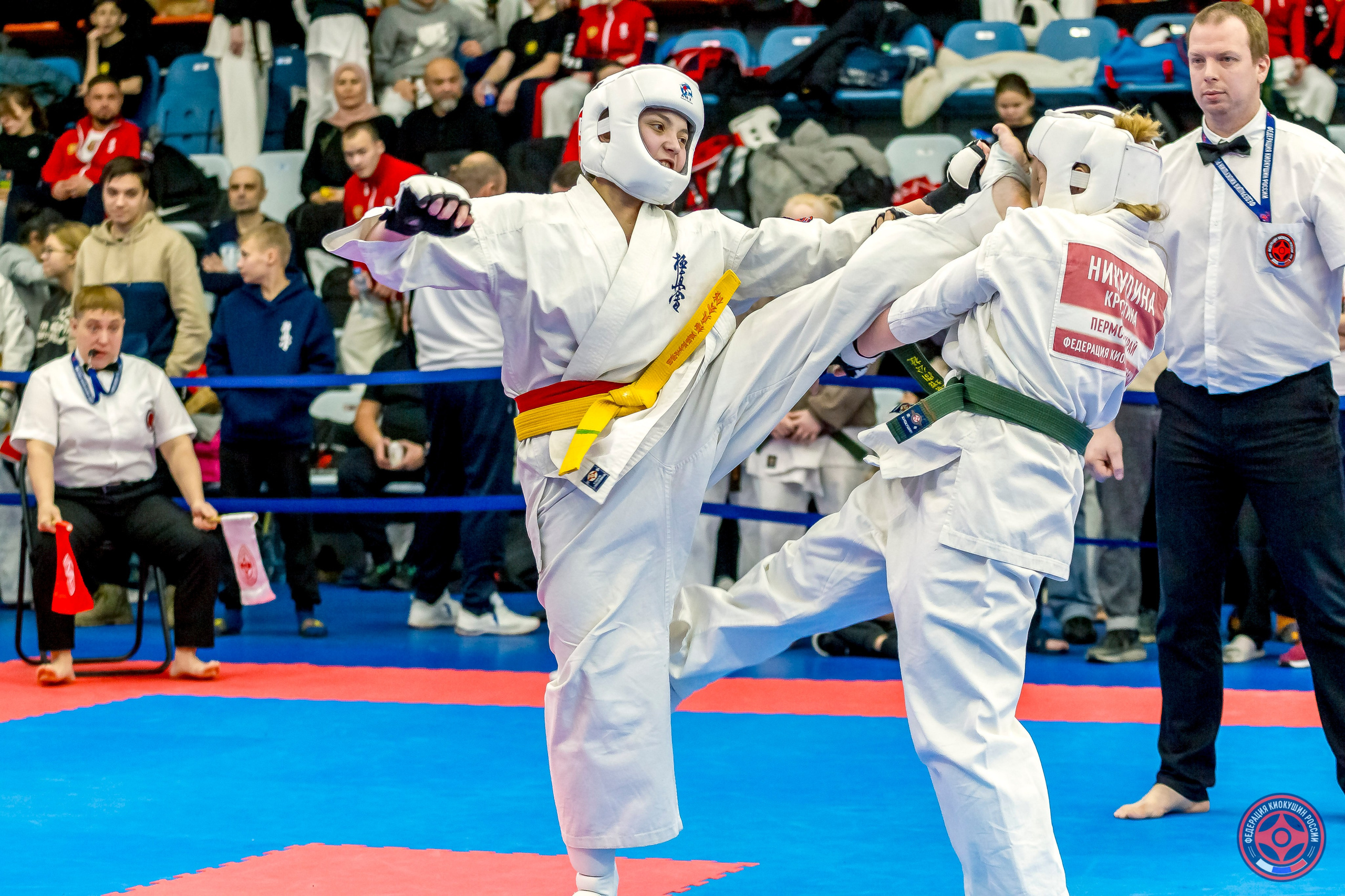 Международный турнир по киокушин «Открытый кубок Seiken». Репортажная съемка в Москве и области. Анималистика