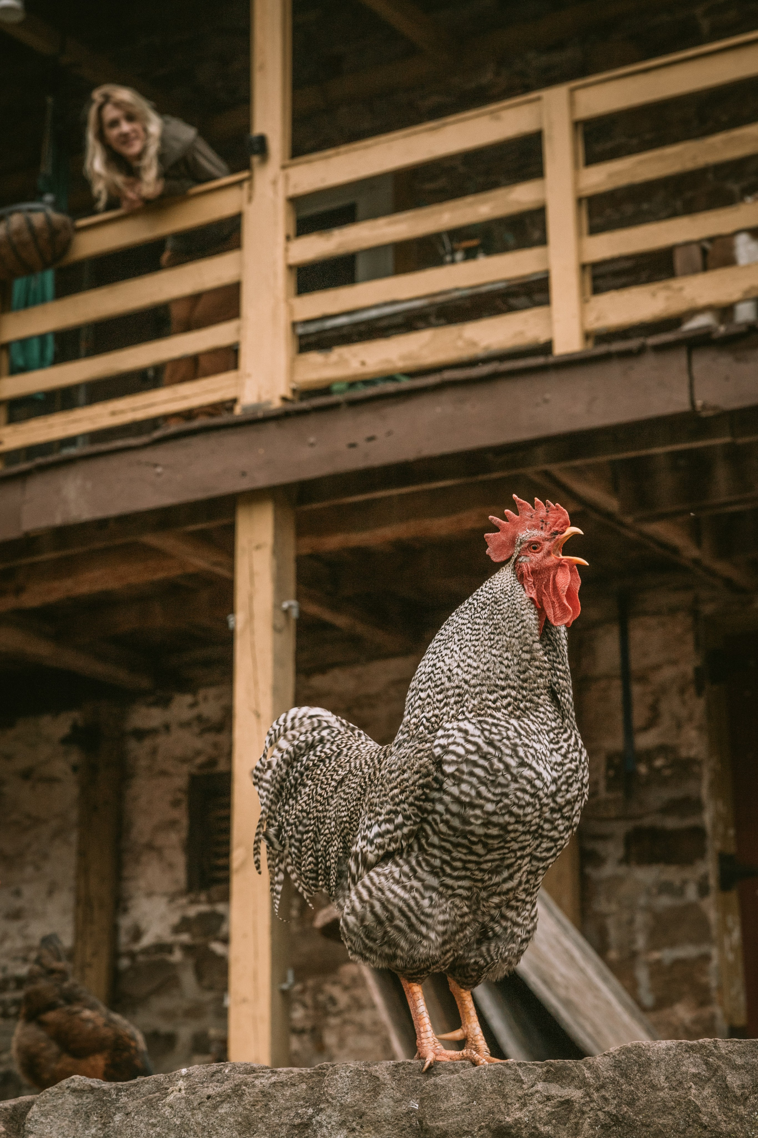 Session at the client’s home. Family photographer in Eastern Pennsylvania, Inna Nairn