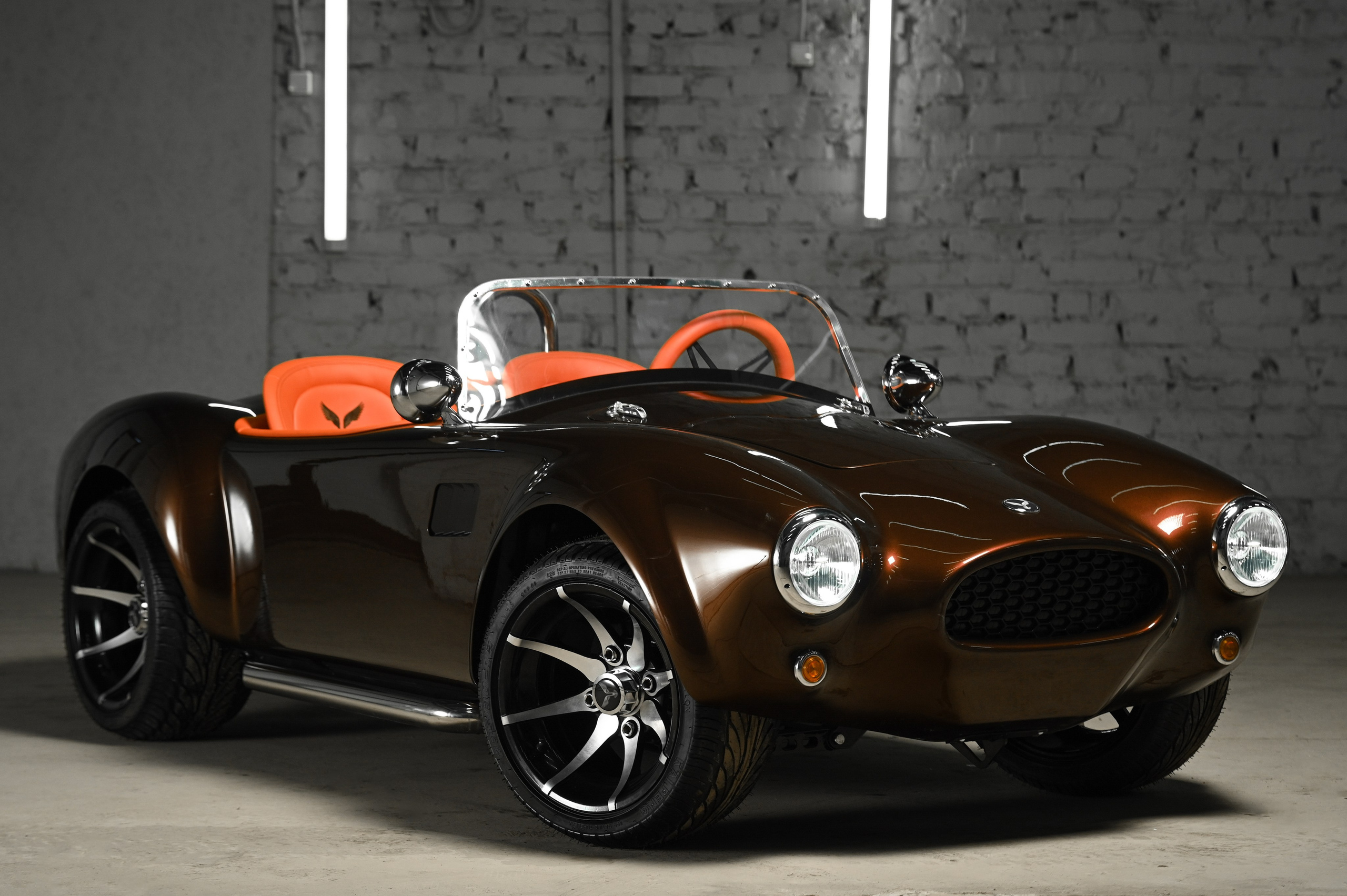 Cobra Mini. Фотограф и видеооператор в Туле | Даниил Рыбак