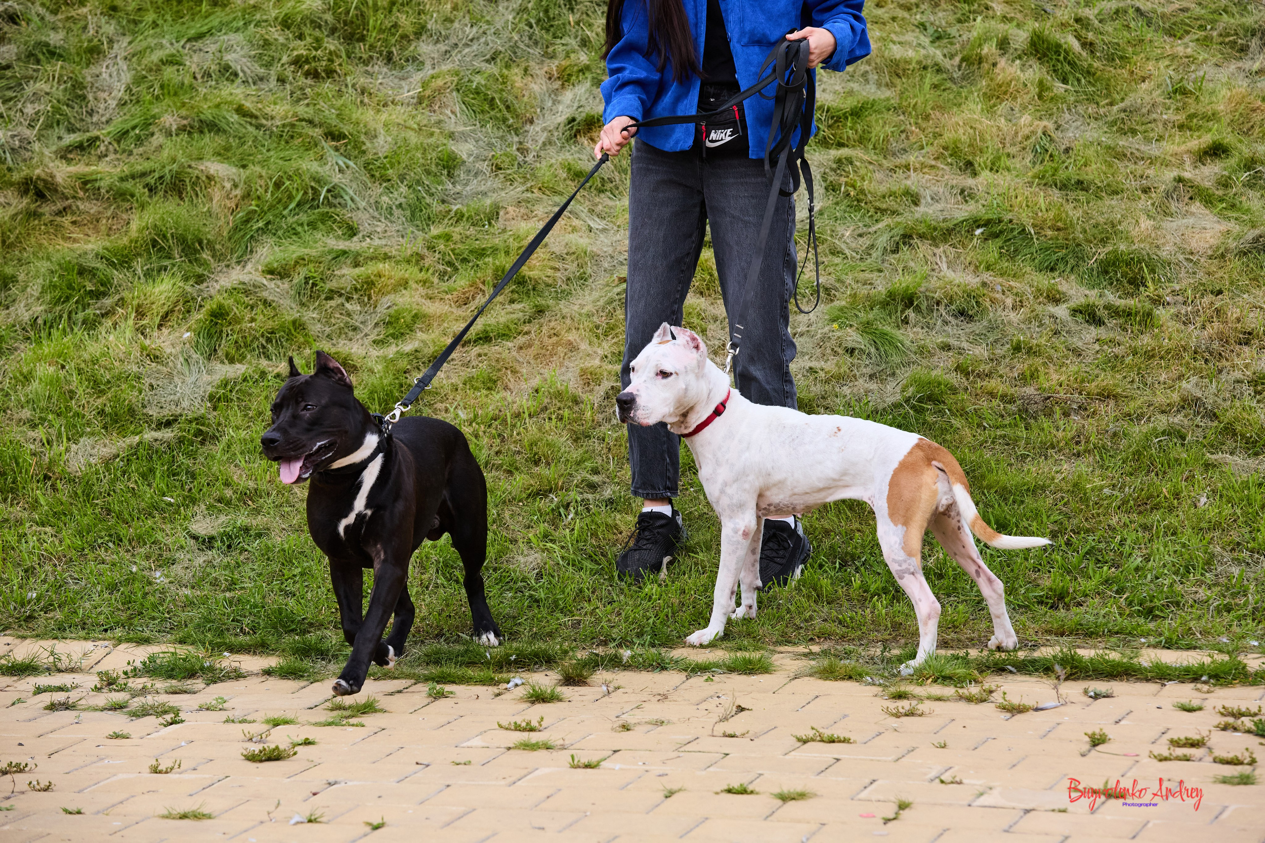 Проект фотопрогулка с хвостиком. Buyvolenko Andrey