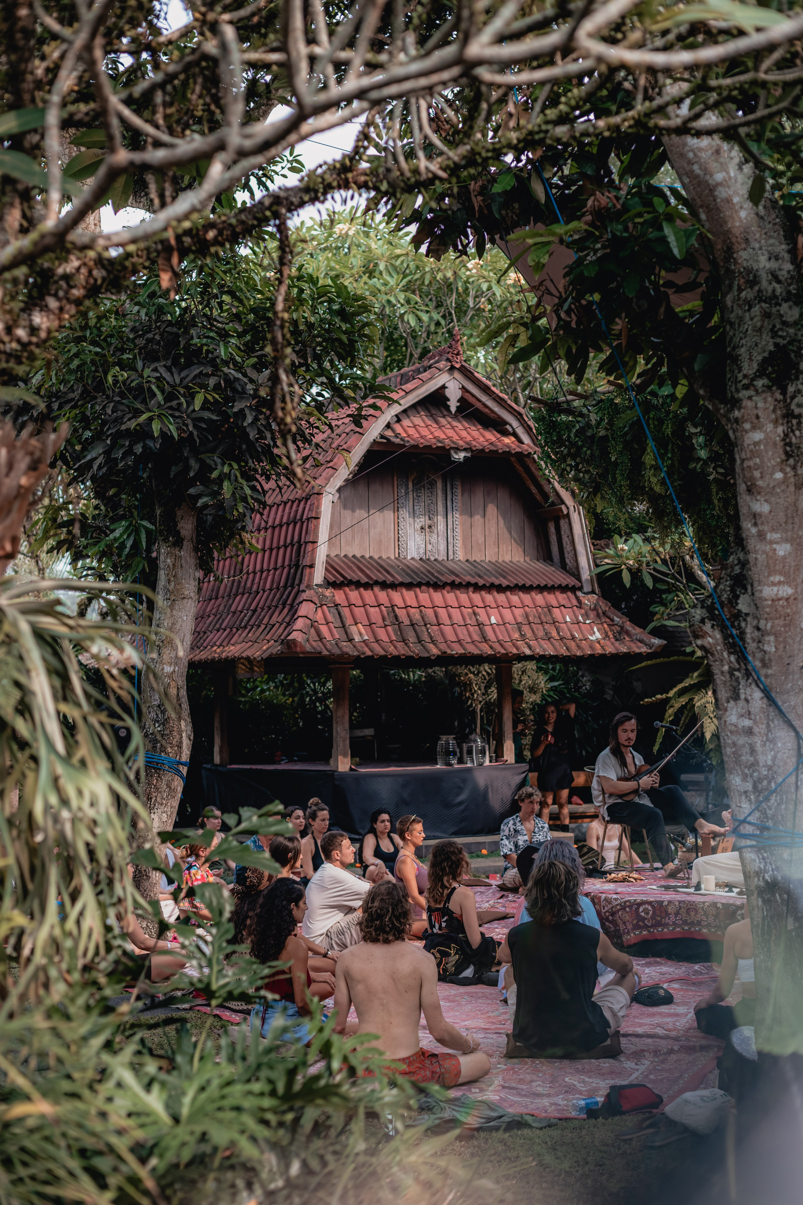 Alegria festival at Zest. Мариам Багдасарян