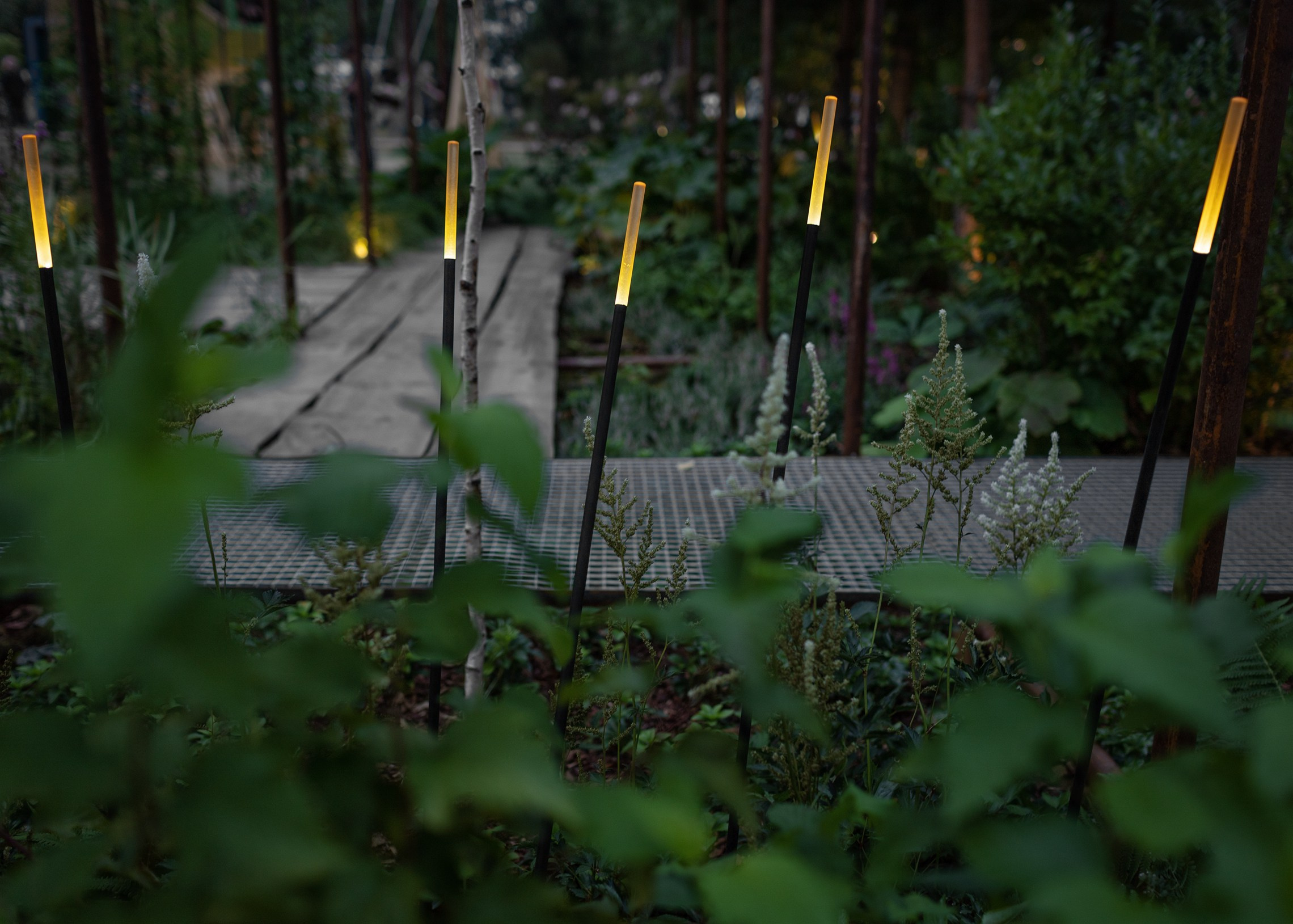 Декоративный ландшафтный свет TEMPARIUM. Фотограф Наталья Молчанова
