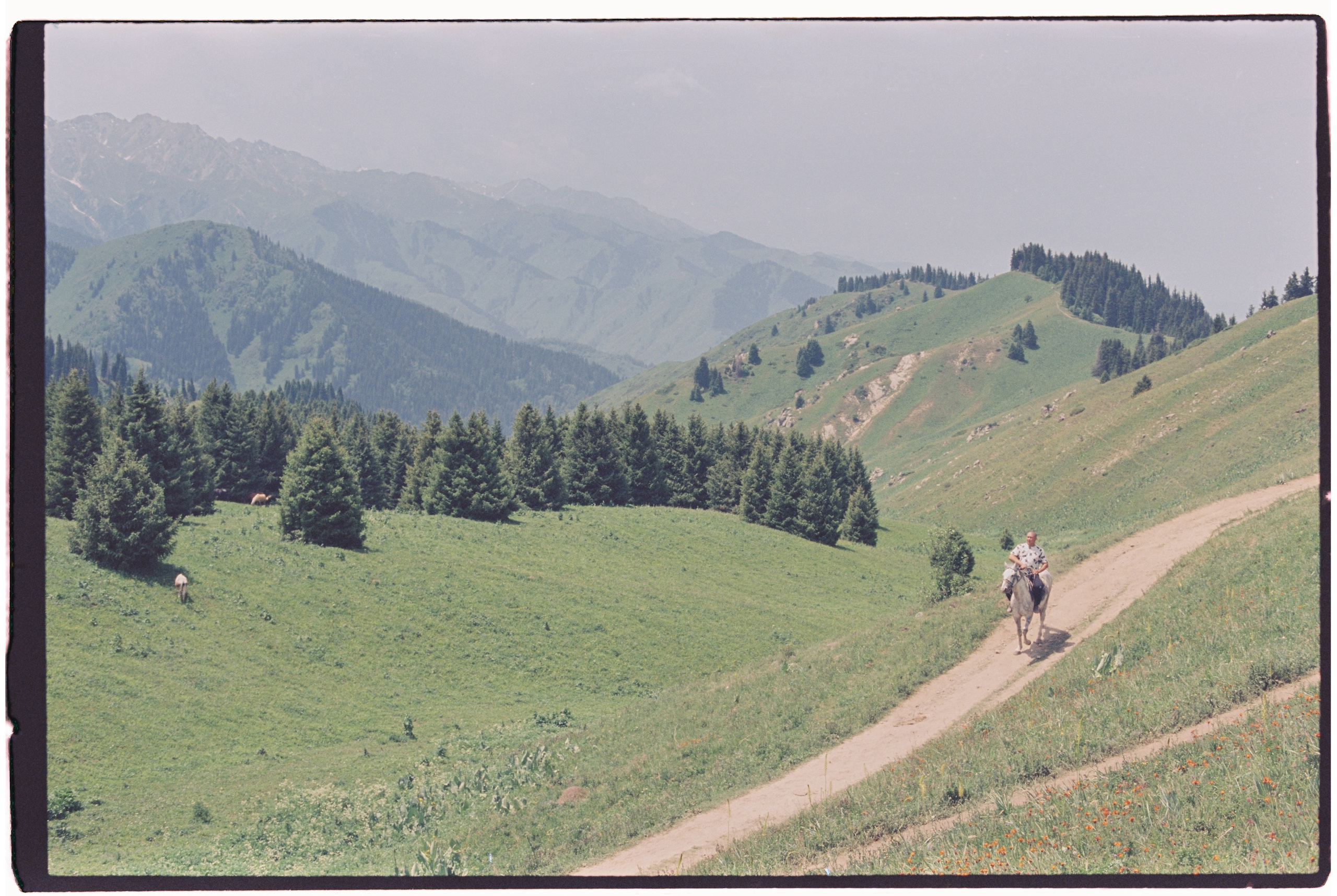 Almaty. Philipp Yelistratov