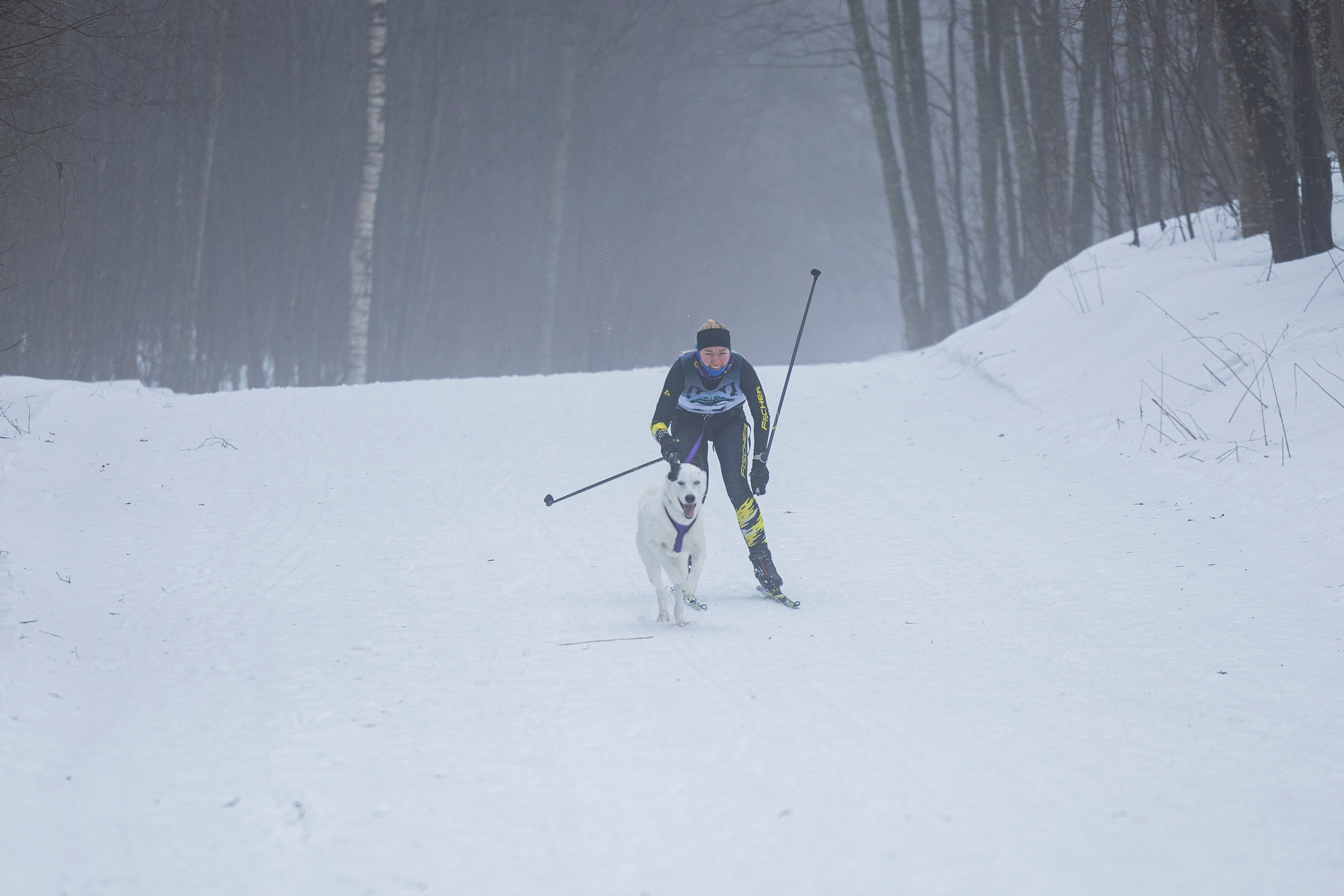 Зимний Чемпионат Санкт-Петербурга по ездовому спорту. Фотограф-анималист Анна Маринич