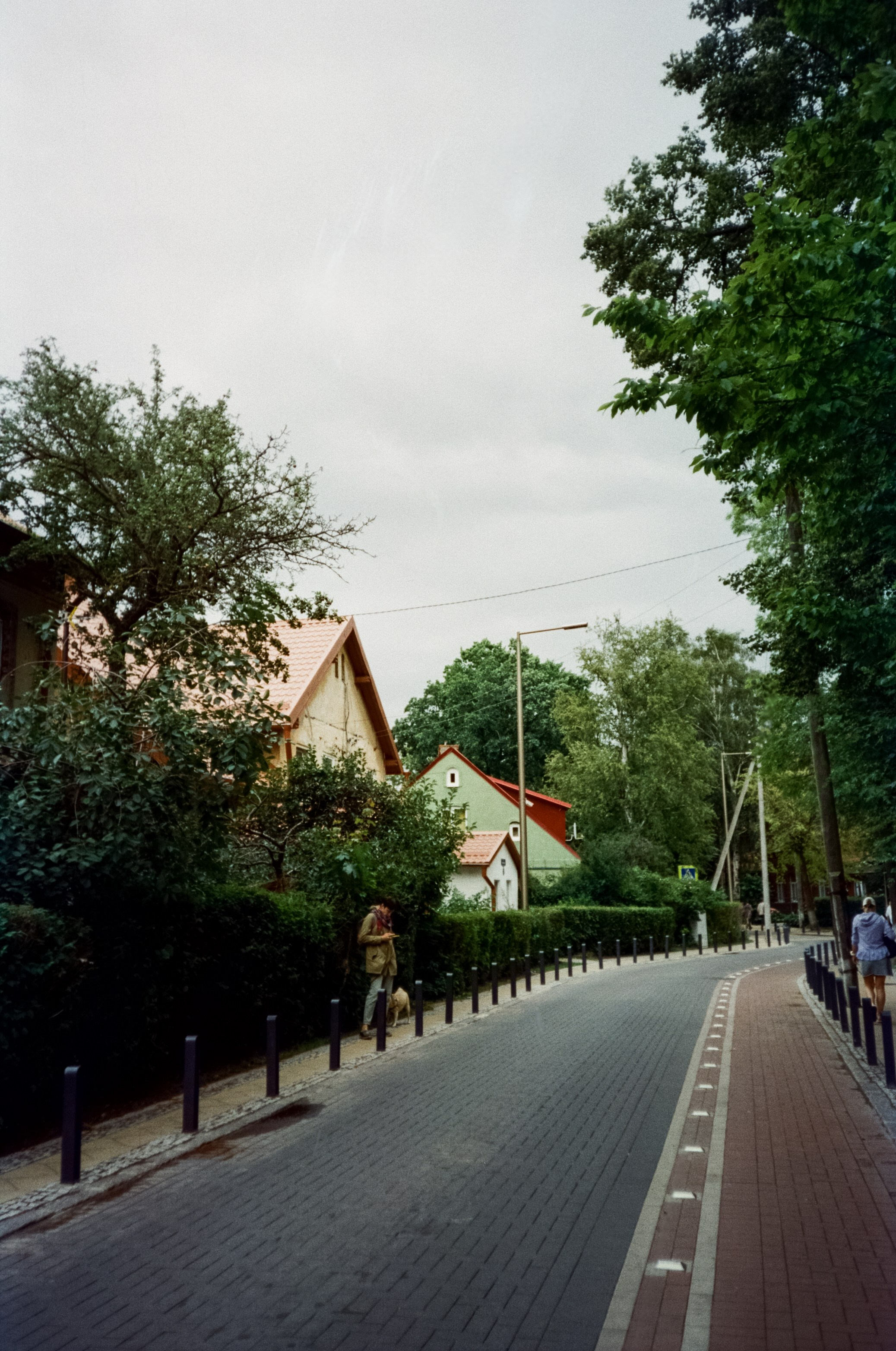 Курортный проспект и коты Зеленоградска, маяк и Safe Coffee. Фотограф-документалист Мария Осокина