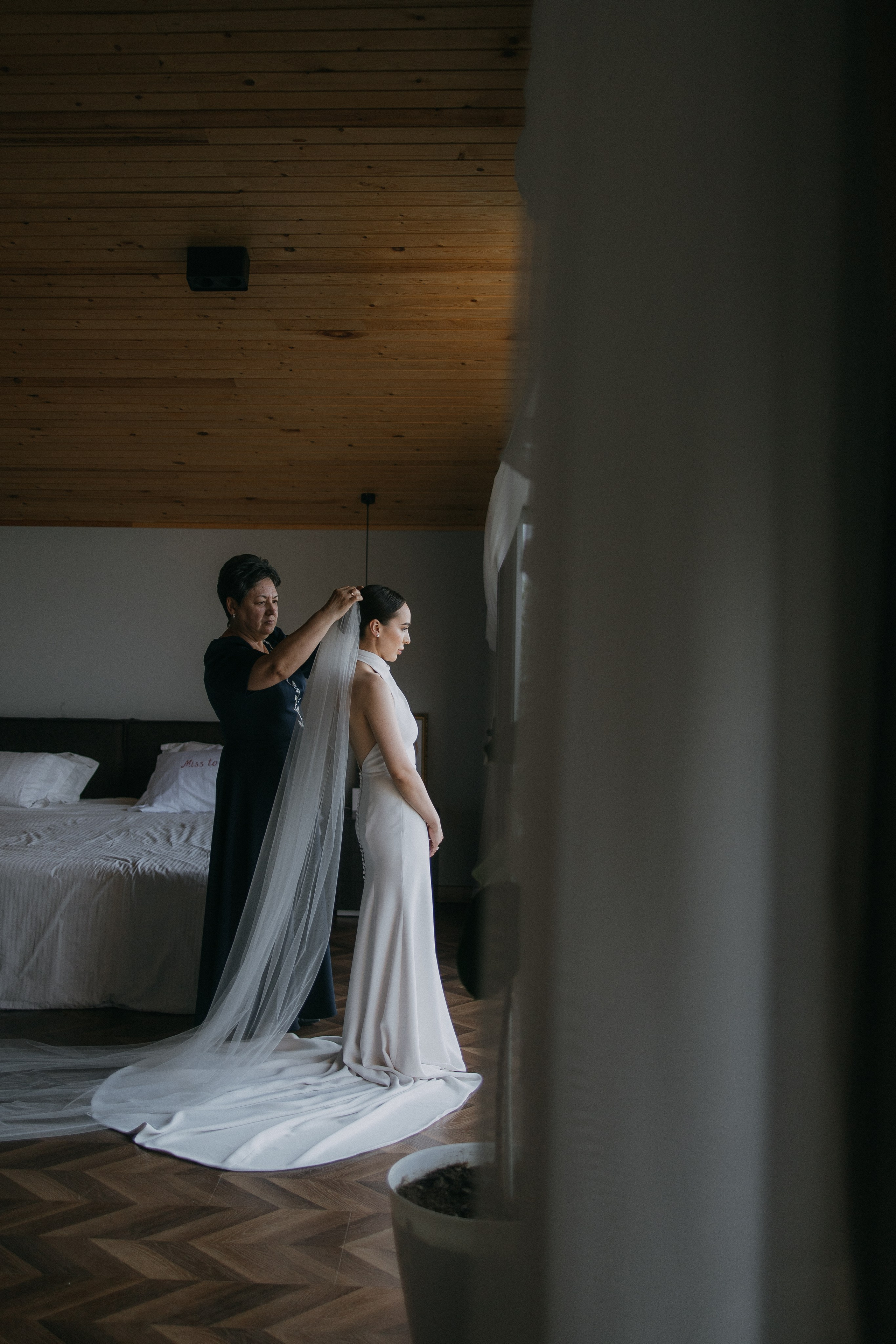 Крокус. Alesya Gee Photographer Uzbekistan