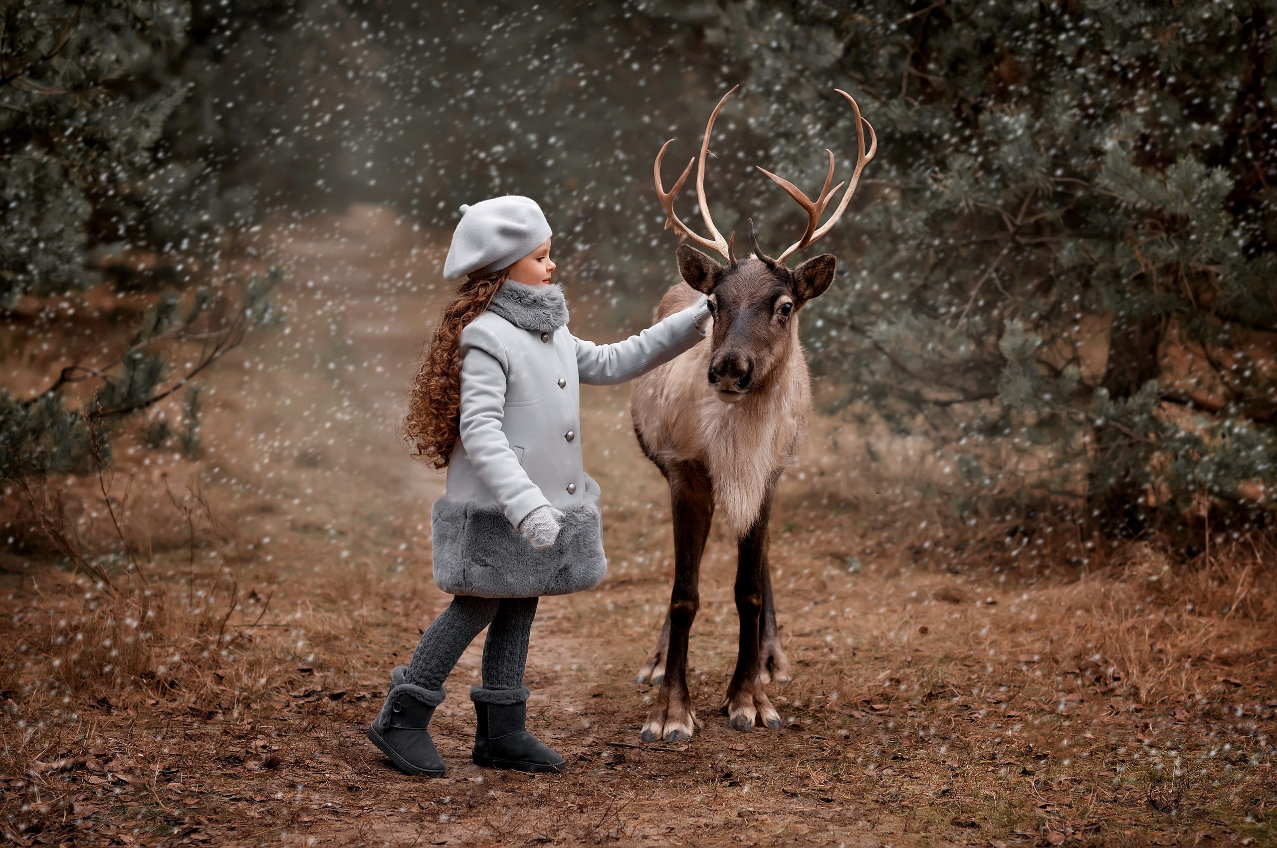 Обучение фото