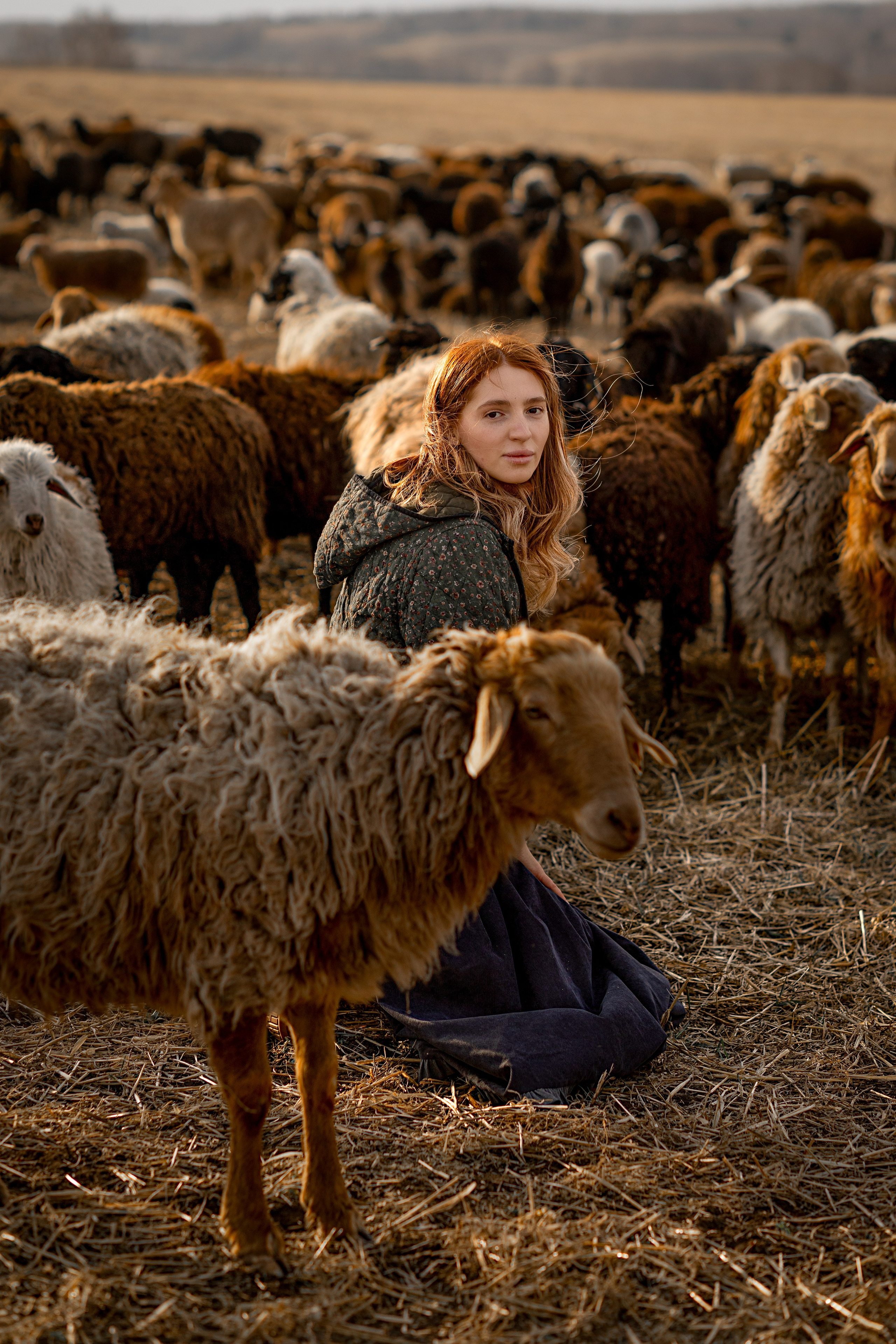 Диана и барашки. Детский и семейный фотограф в Красноярске Елена Коровкина