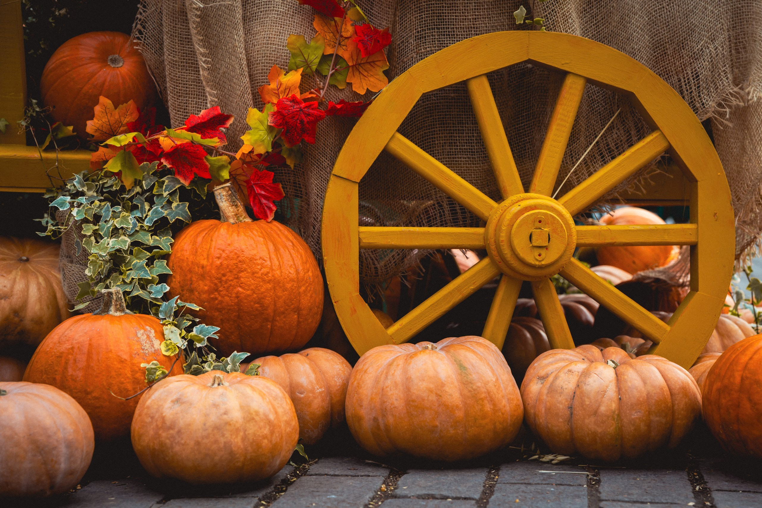 Фото-прогулка. Пенкин Александр