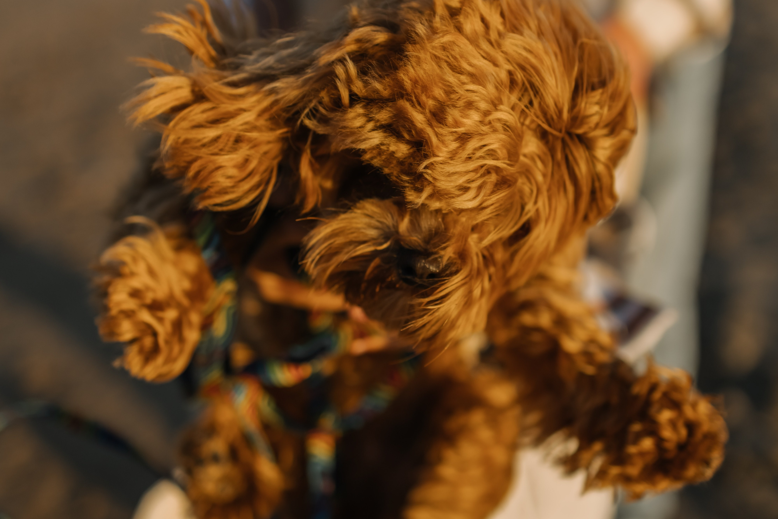 Чудо рядом с тобой. Семейный и детский фотограф в Санкт-Петербурге — Лаврова Ольга
