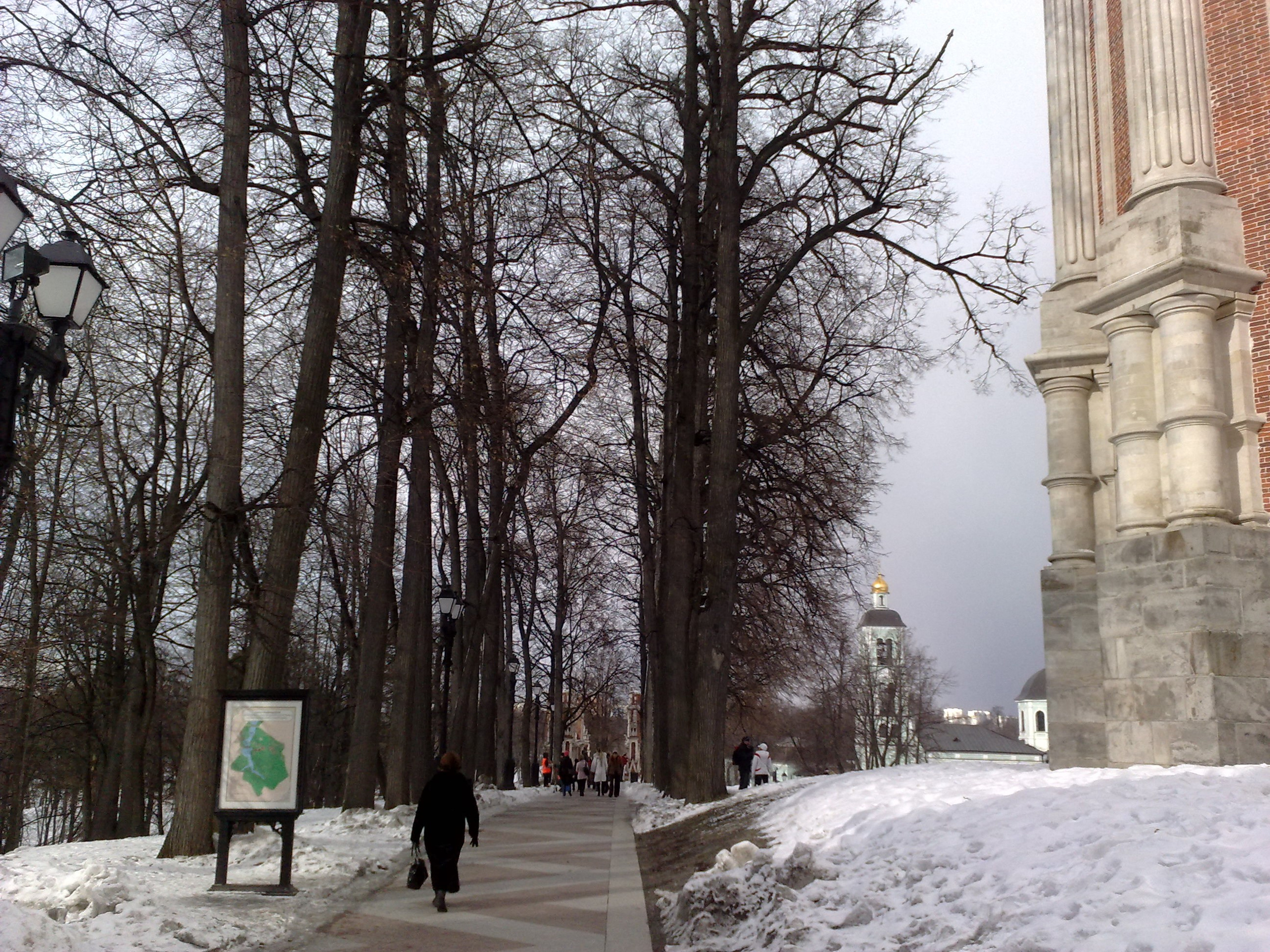 Царицино музей-усадьба. Питомник китайских хохлатых собак Poale Ell: купить щенка в питомнике