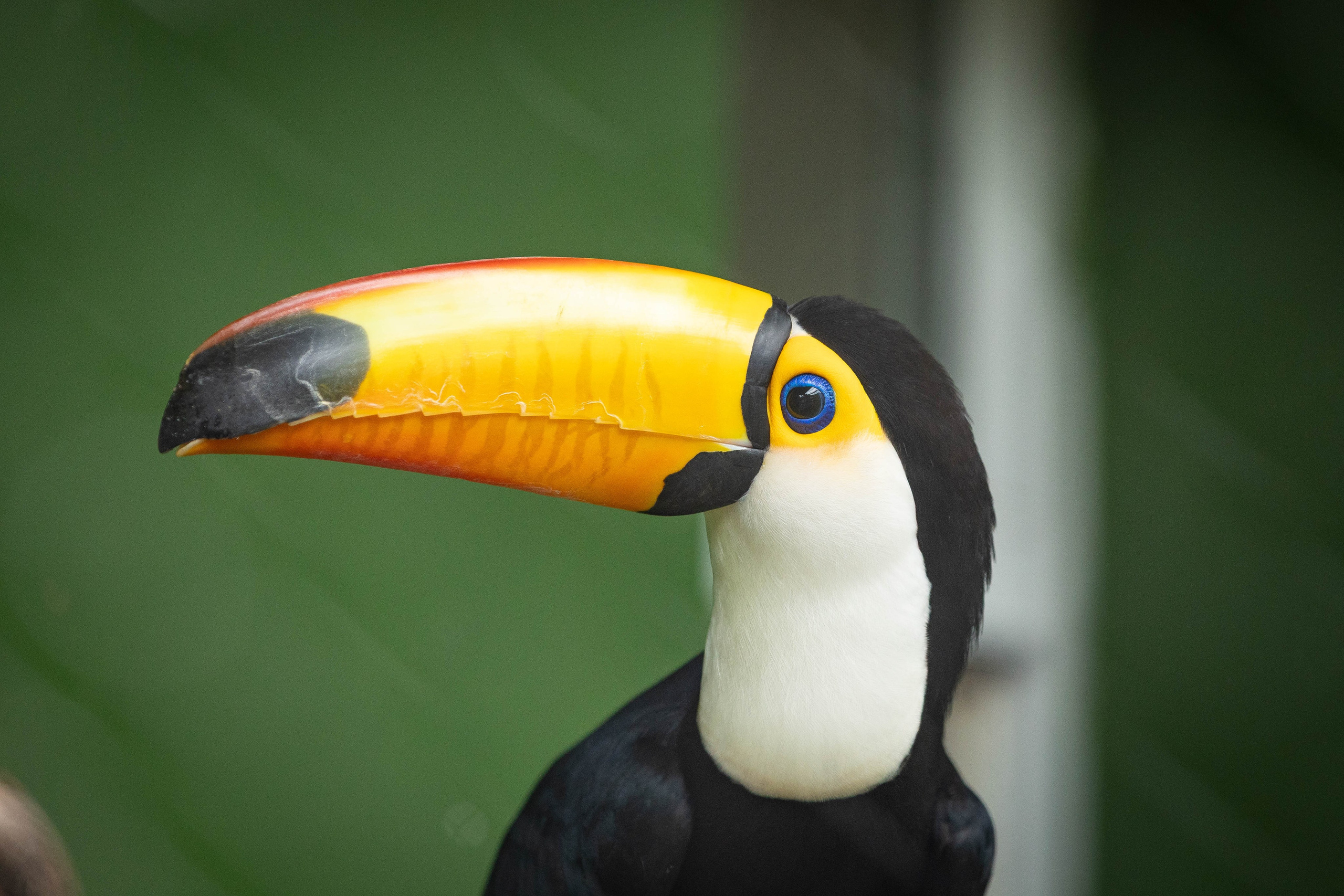 Зоопарк Малинки. Фотограф-АниМалист Анна Абрамова