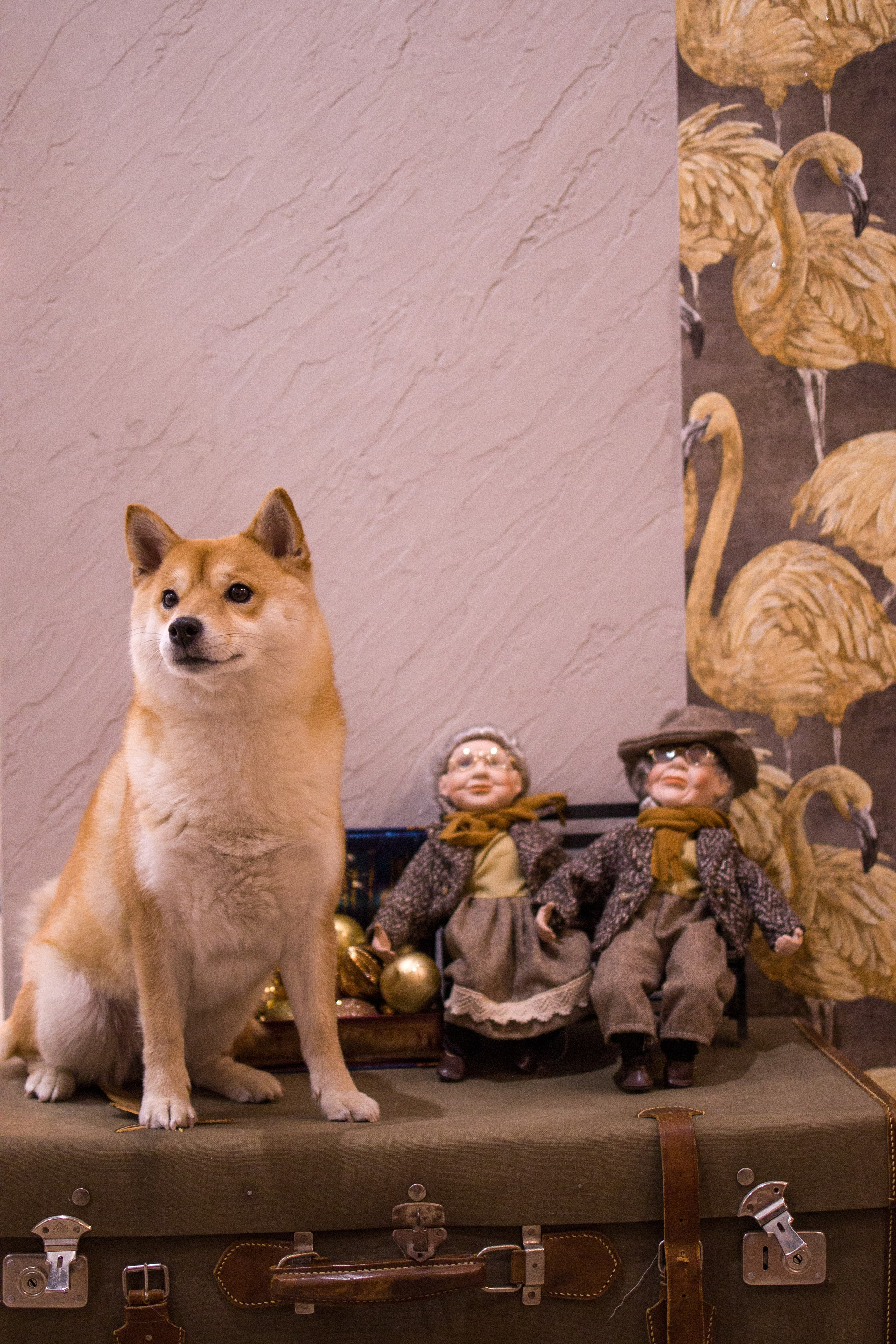 Диана. Художественная фотография